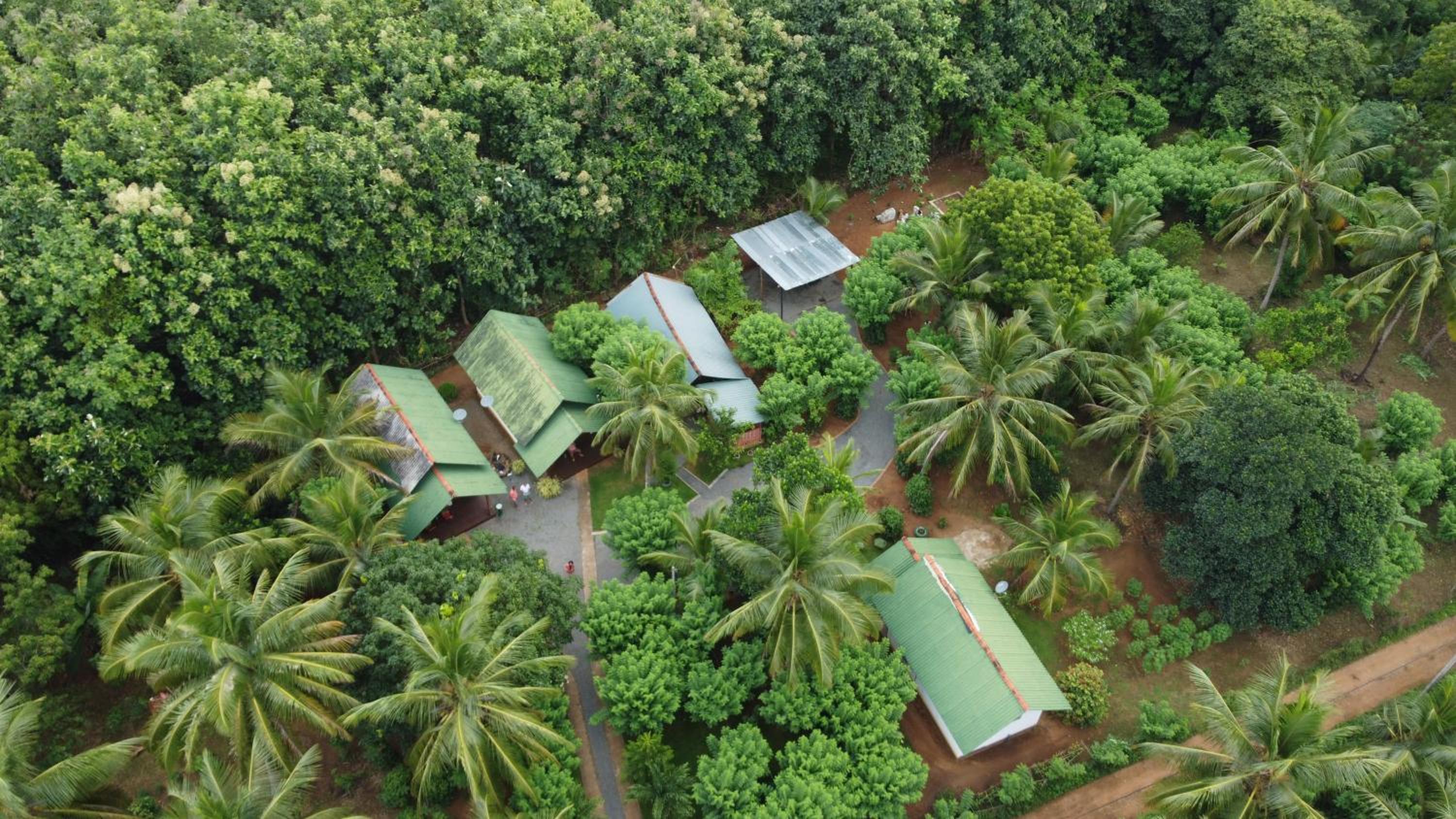 Green View Safari Resort