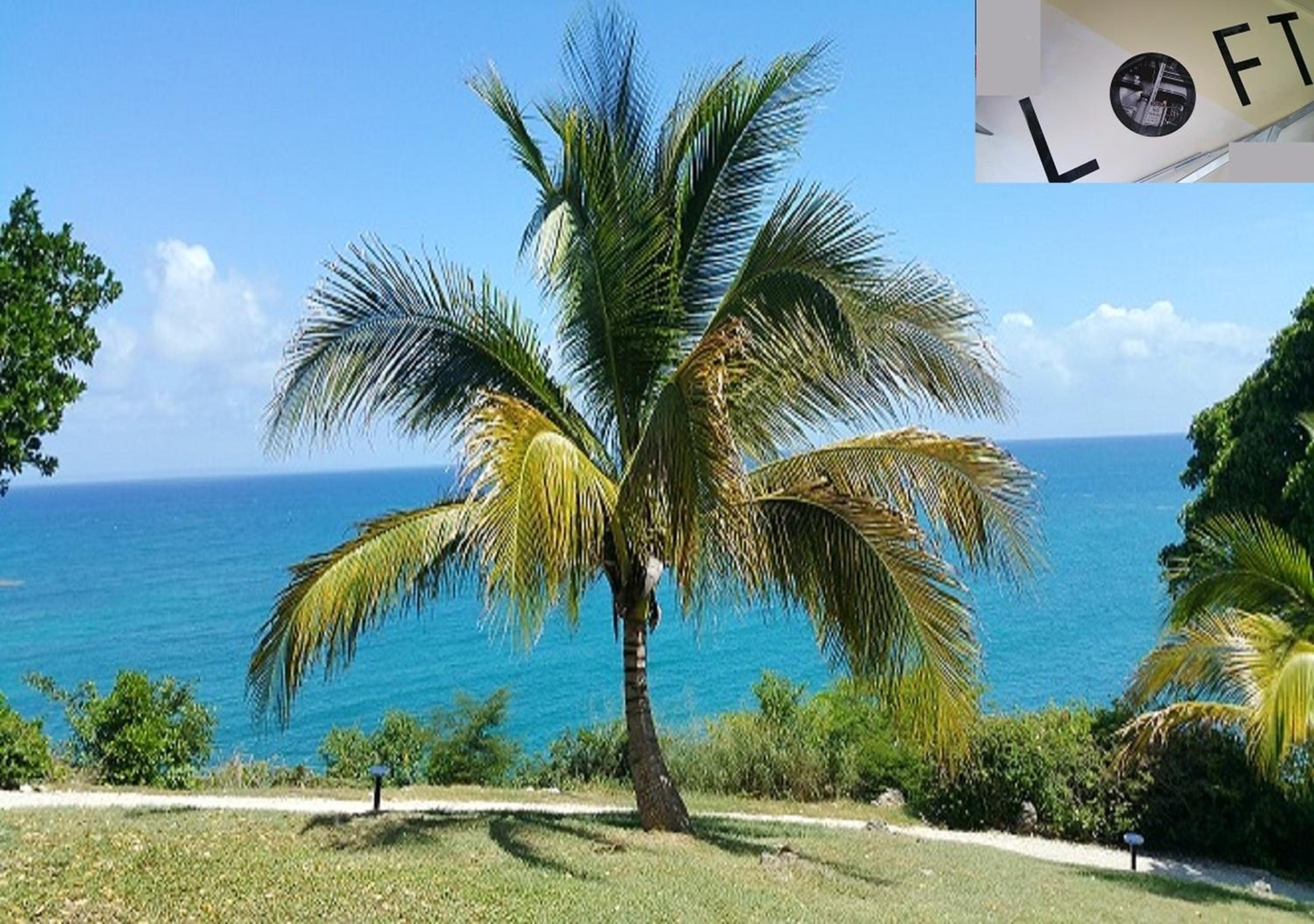 Appartement confortable à Lamentin 30 m² avec vue montagne view 4