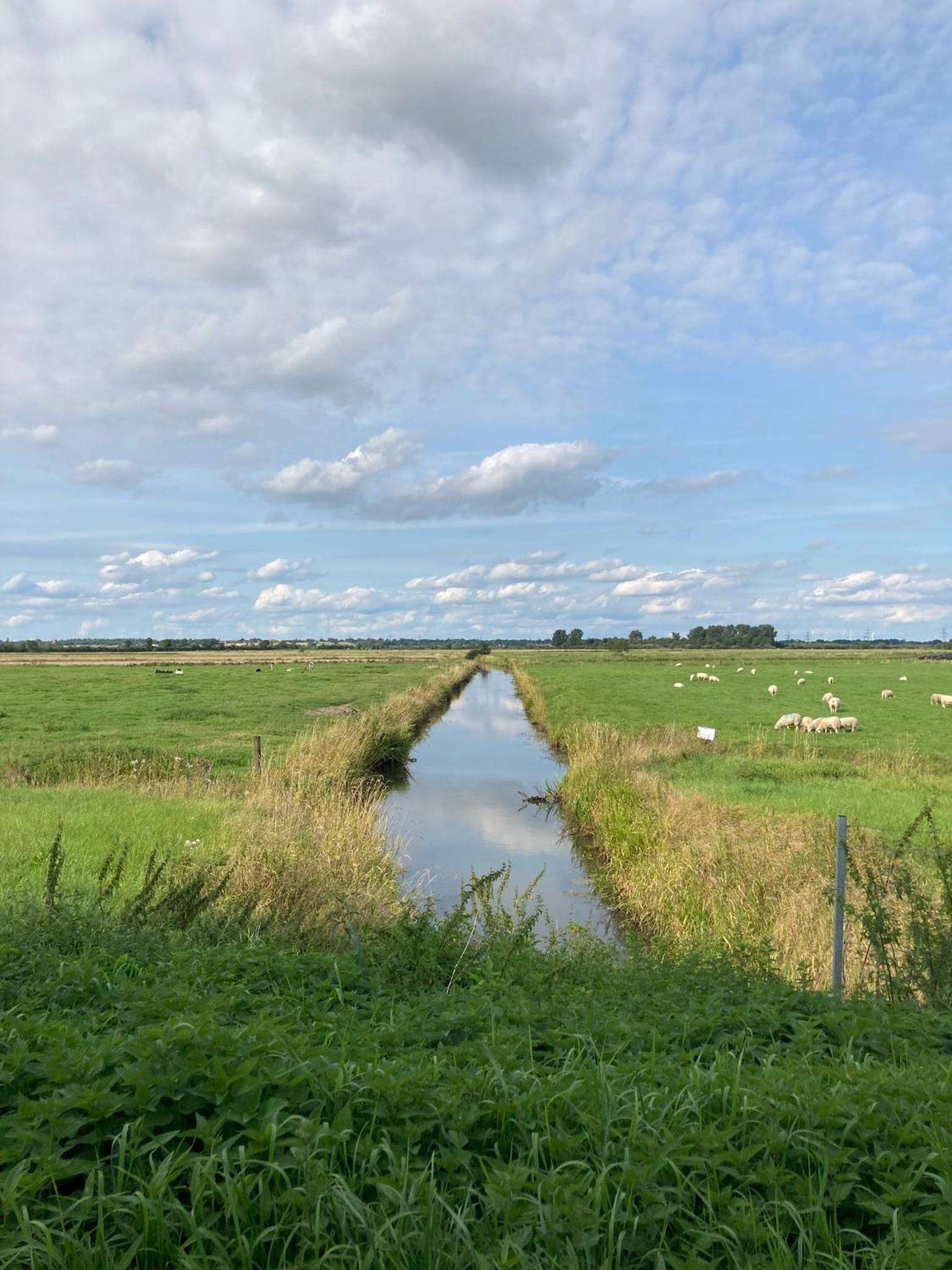 Photo 30
