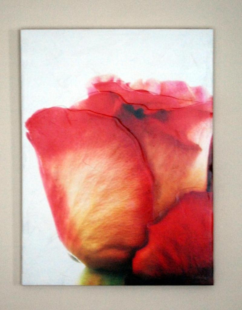 Photo 34