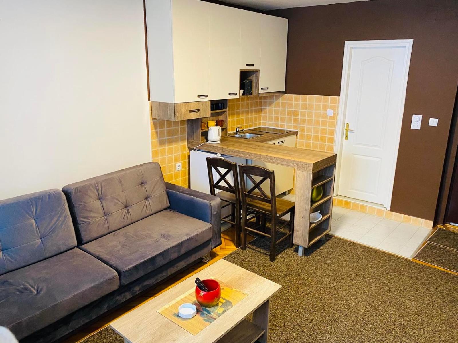 Sofi Apartment Nis view 4