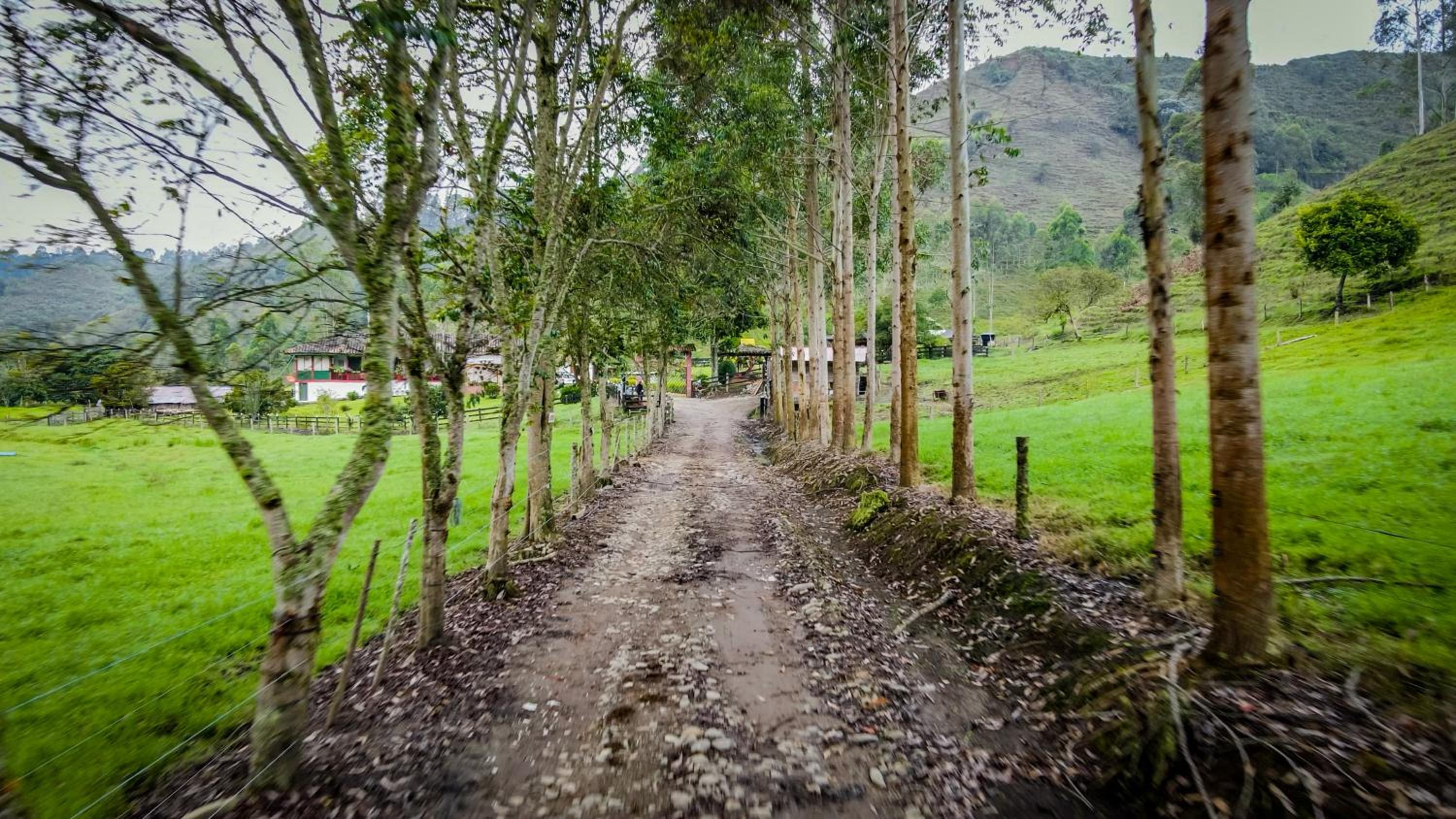 Finca La Playa Ecohotel - Experiencia Campestre -