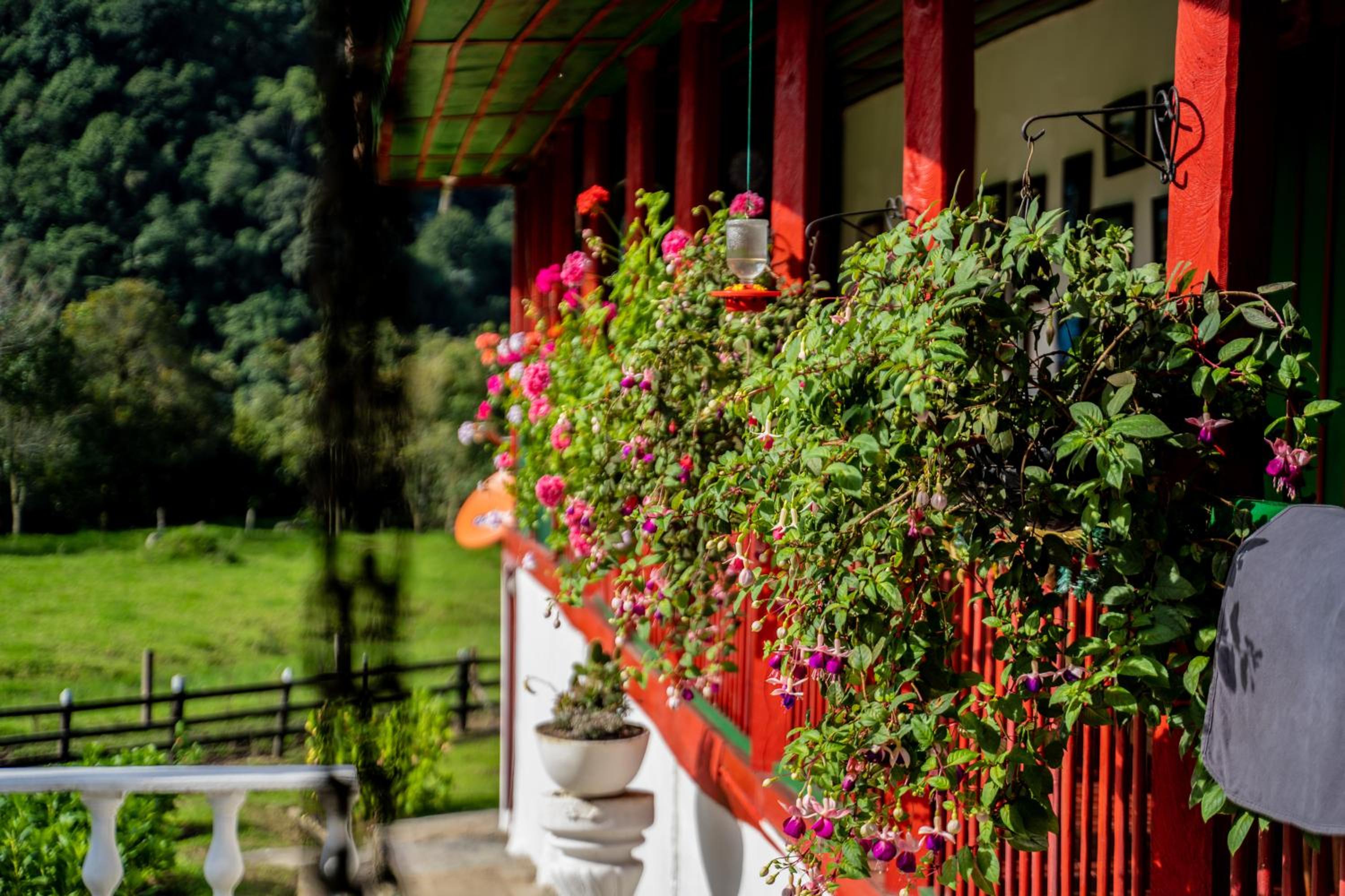 Finca La Playa Ecohotel - Experiencia Campestre -