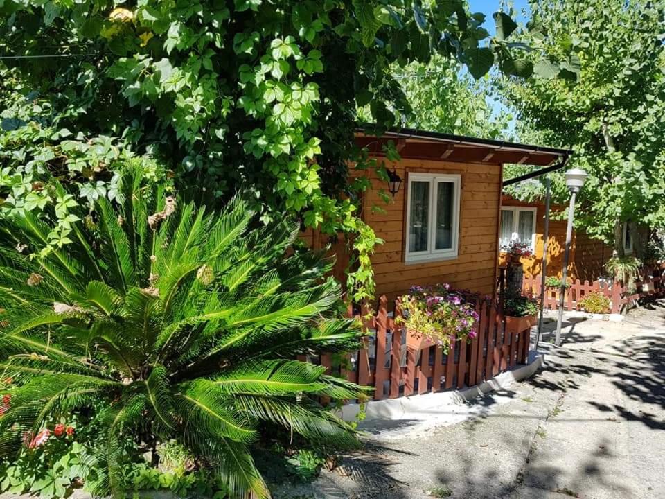 Camping Onda Azzurra