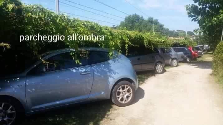Camping Onda Azzurra