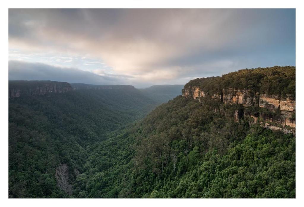 Twin Falls Bush Cottages