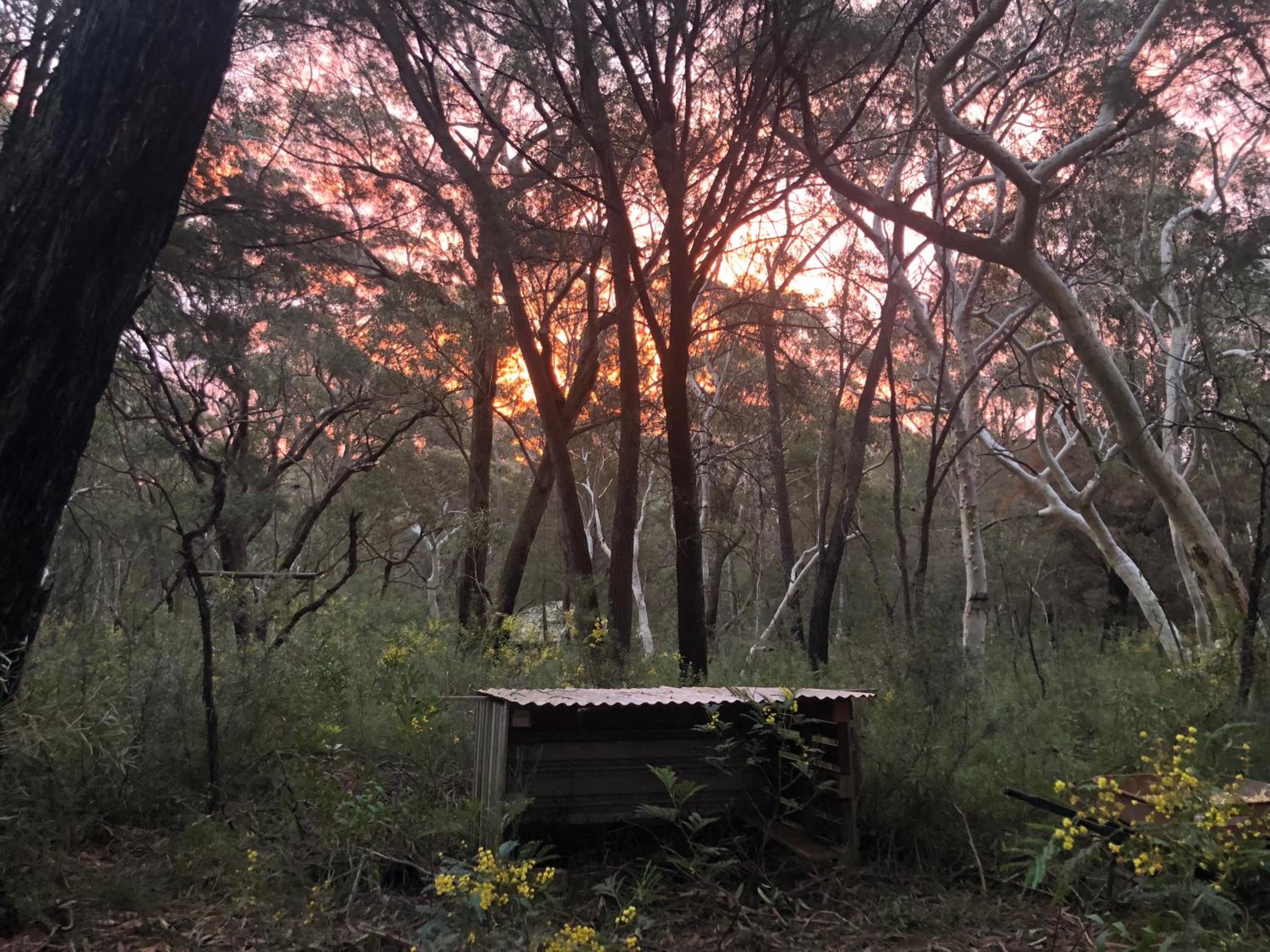 Twin Falls Bush Cottages