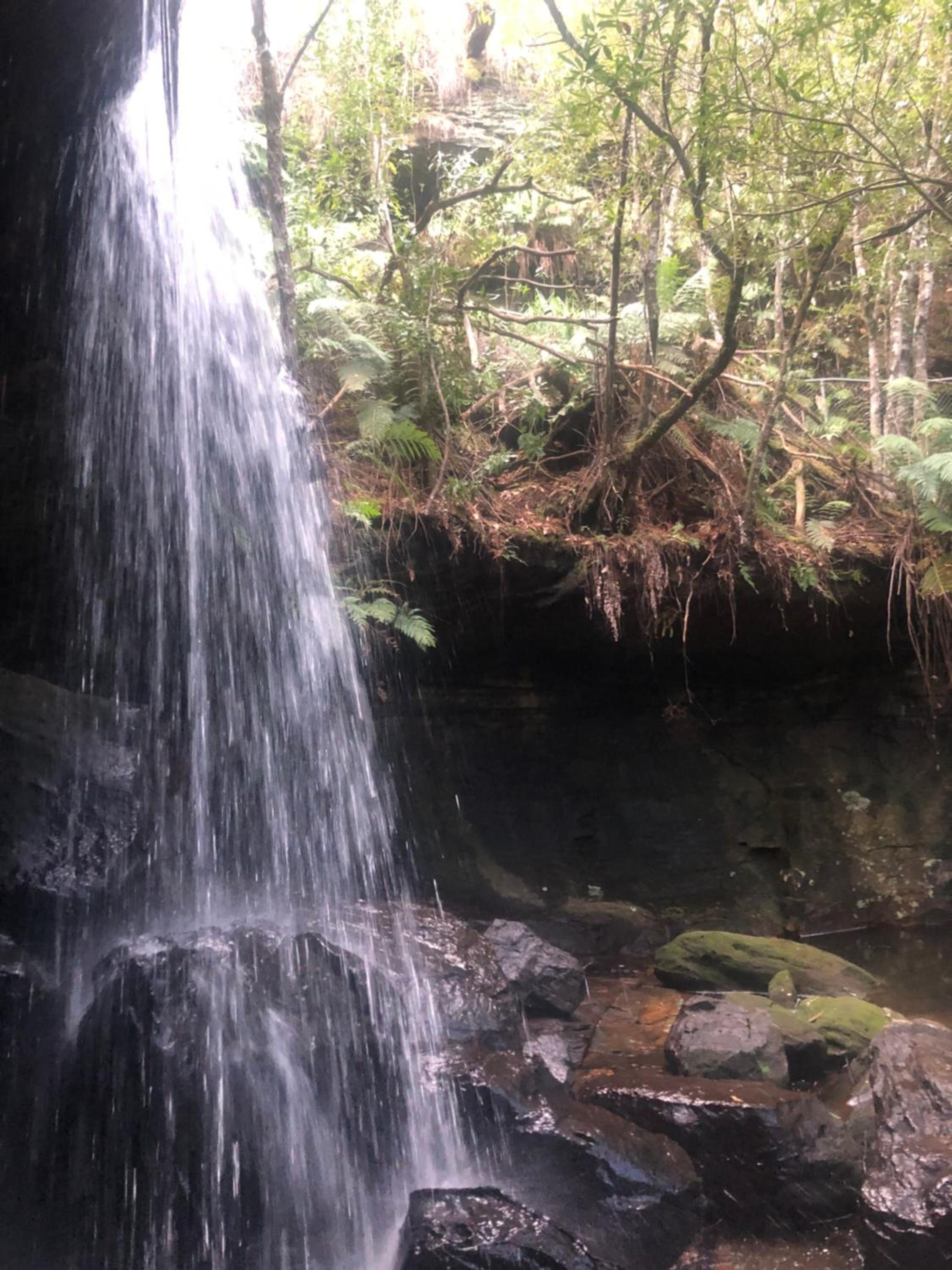 Twin Falls Bush Cottages