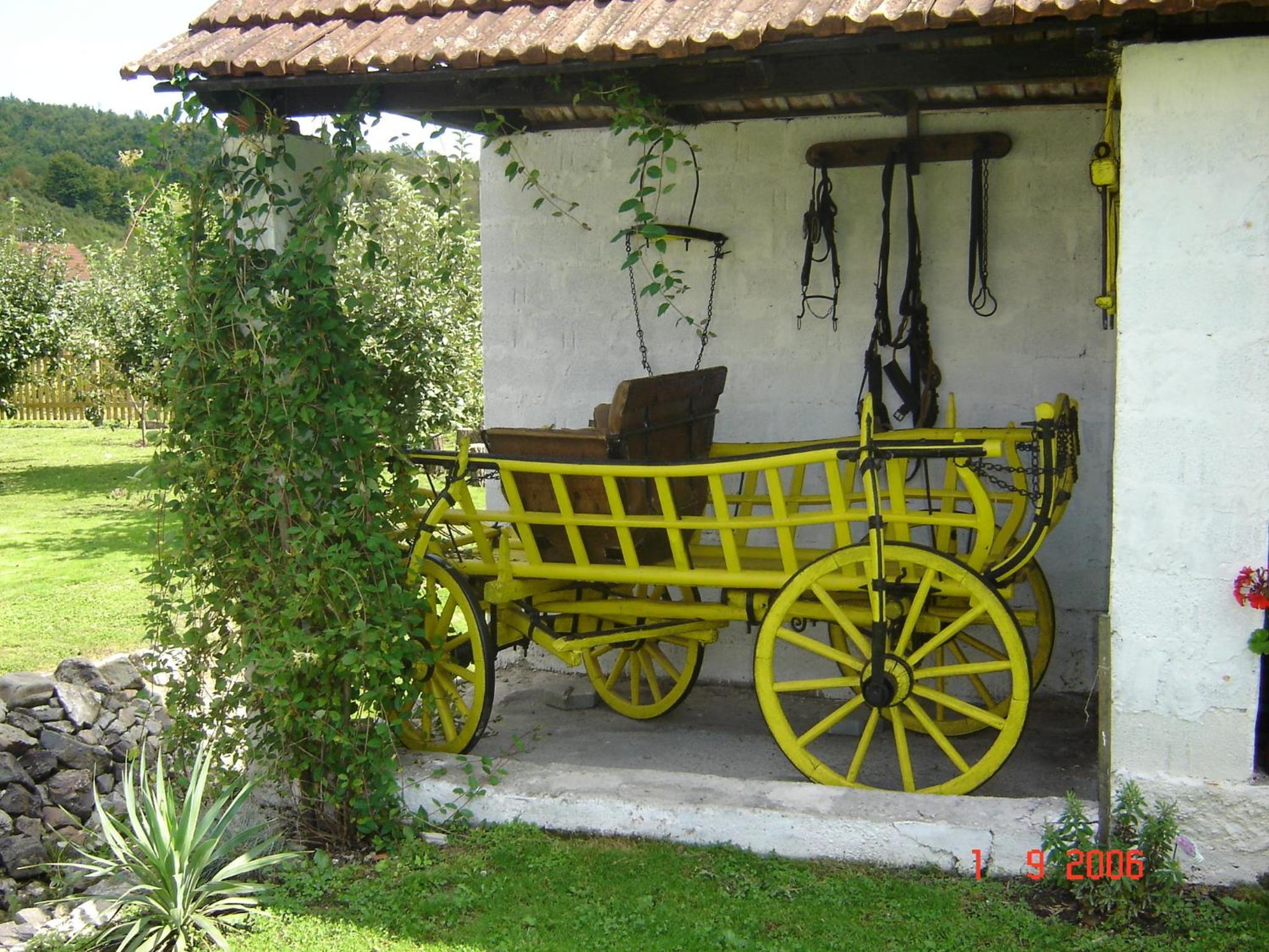 Photo 44