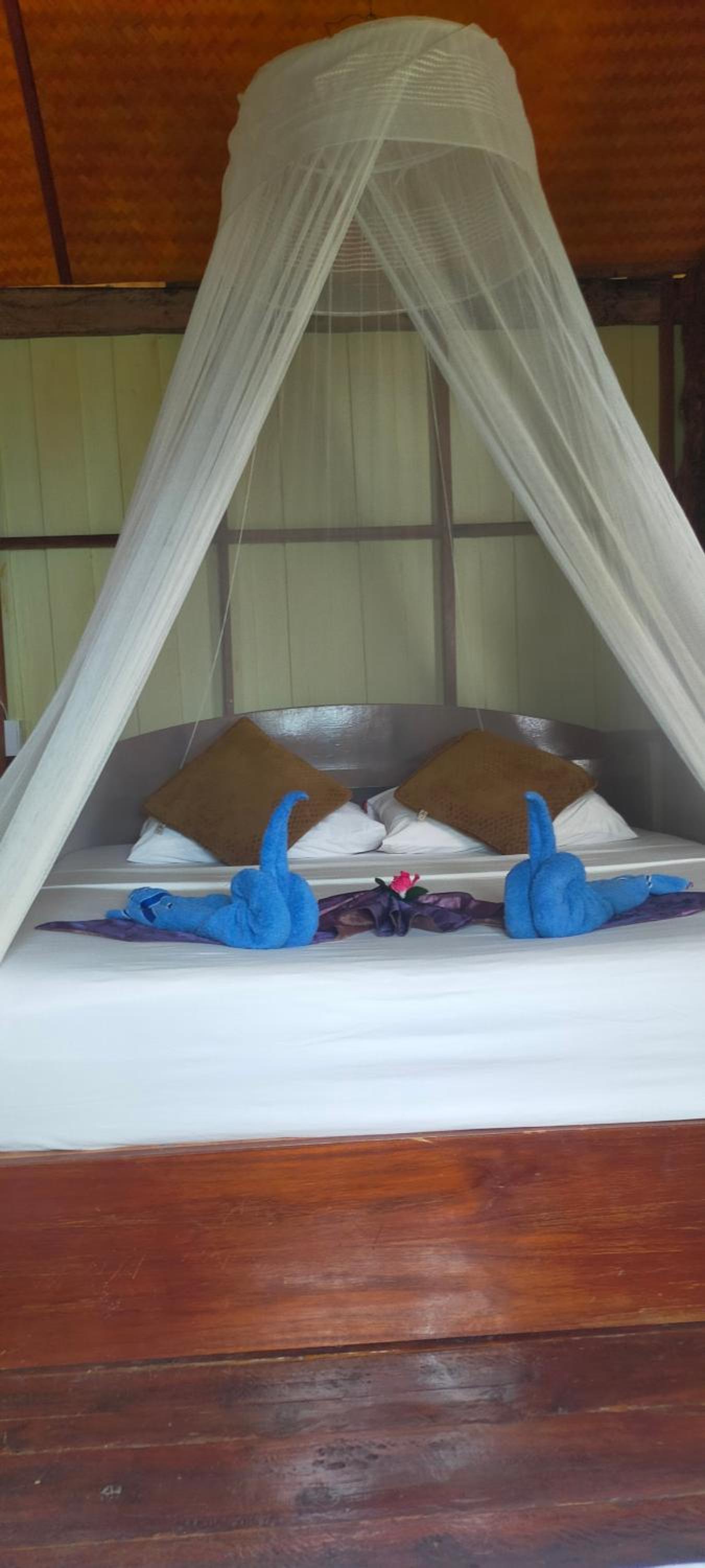 Jungle Hill Beach Bungalow