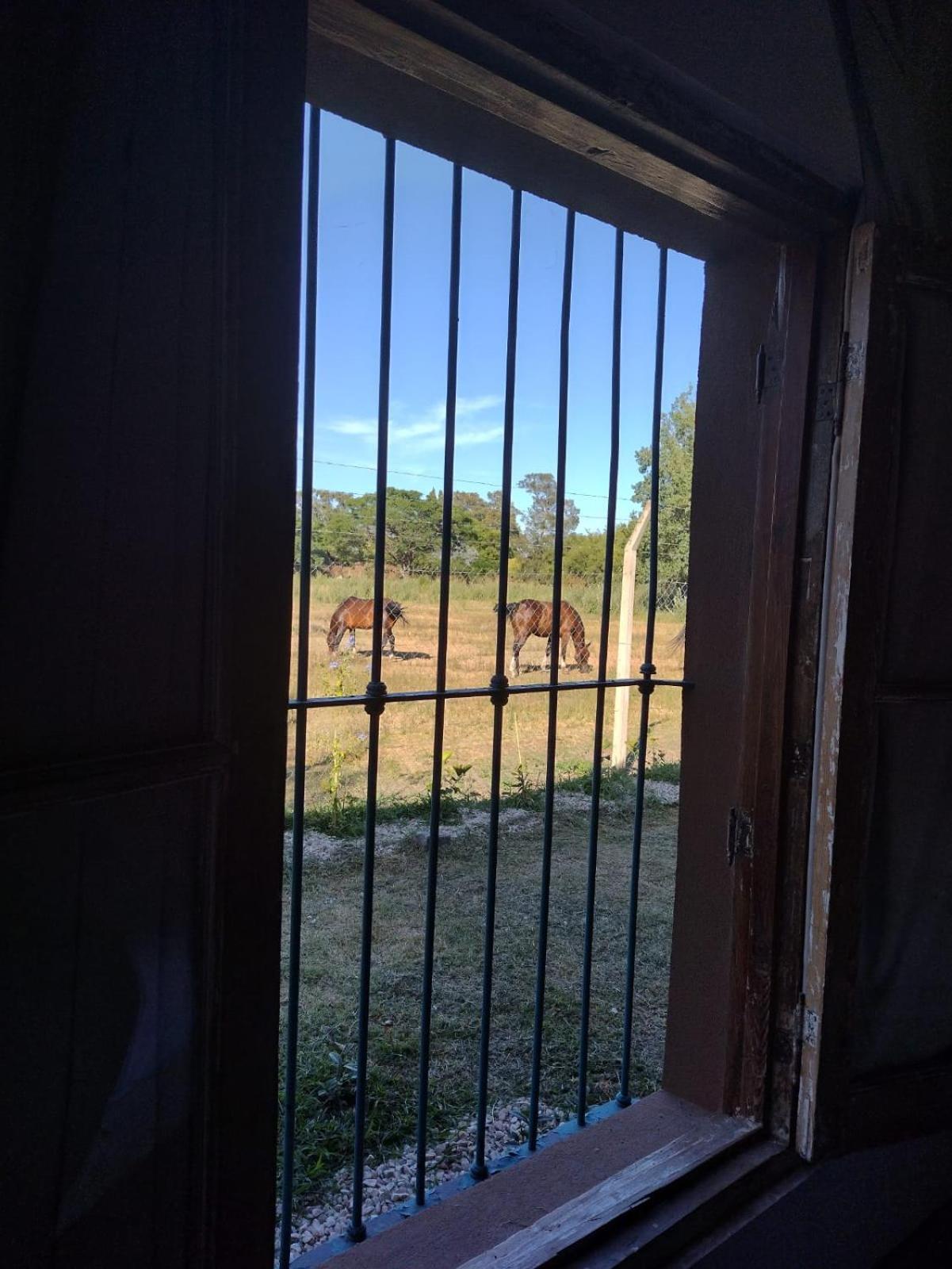 La Hippia Lobos- casa de campo