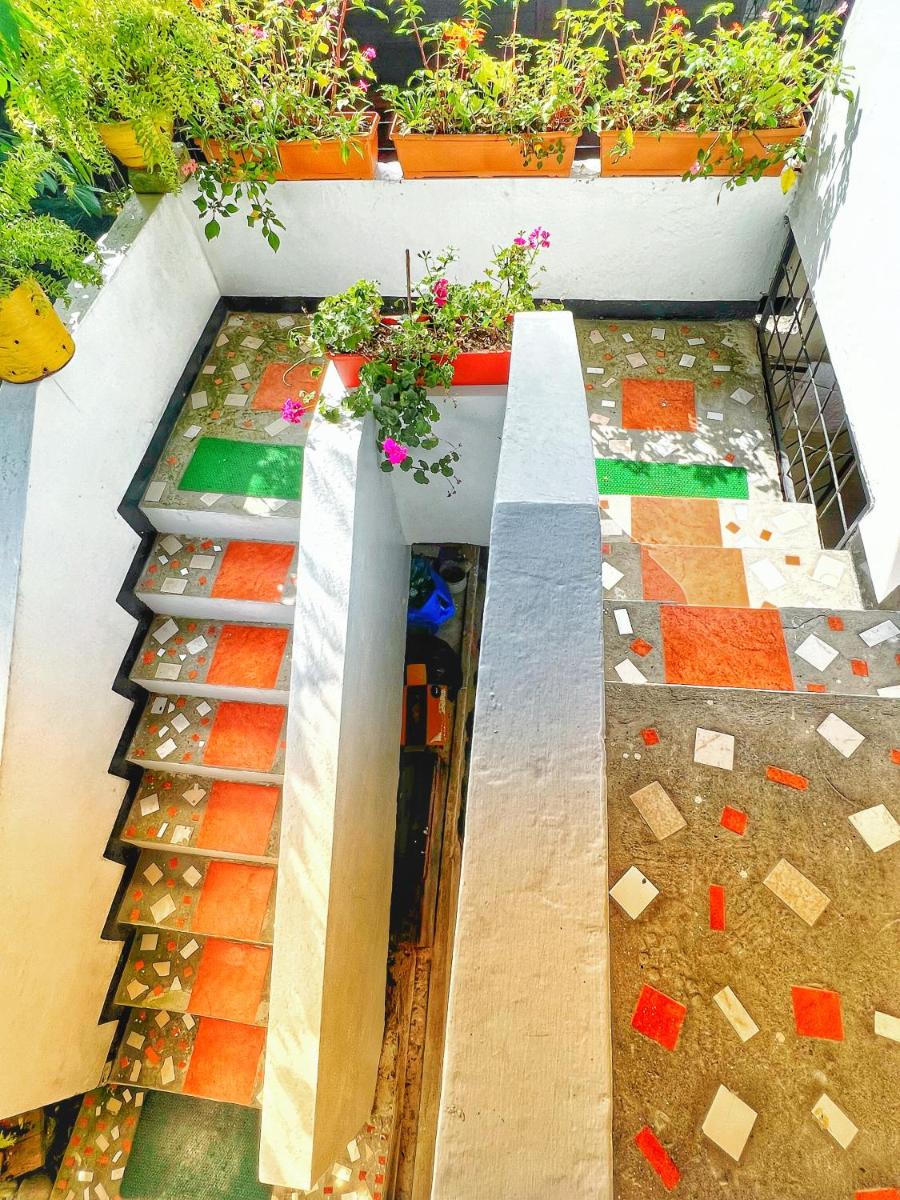 HOSTAL EL COLIBRI view 4