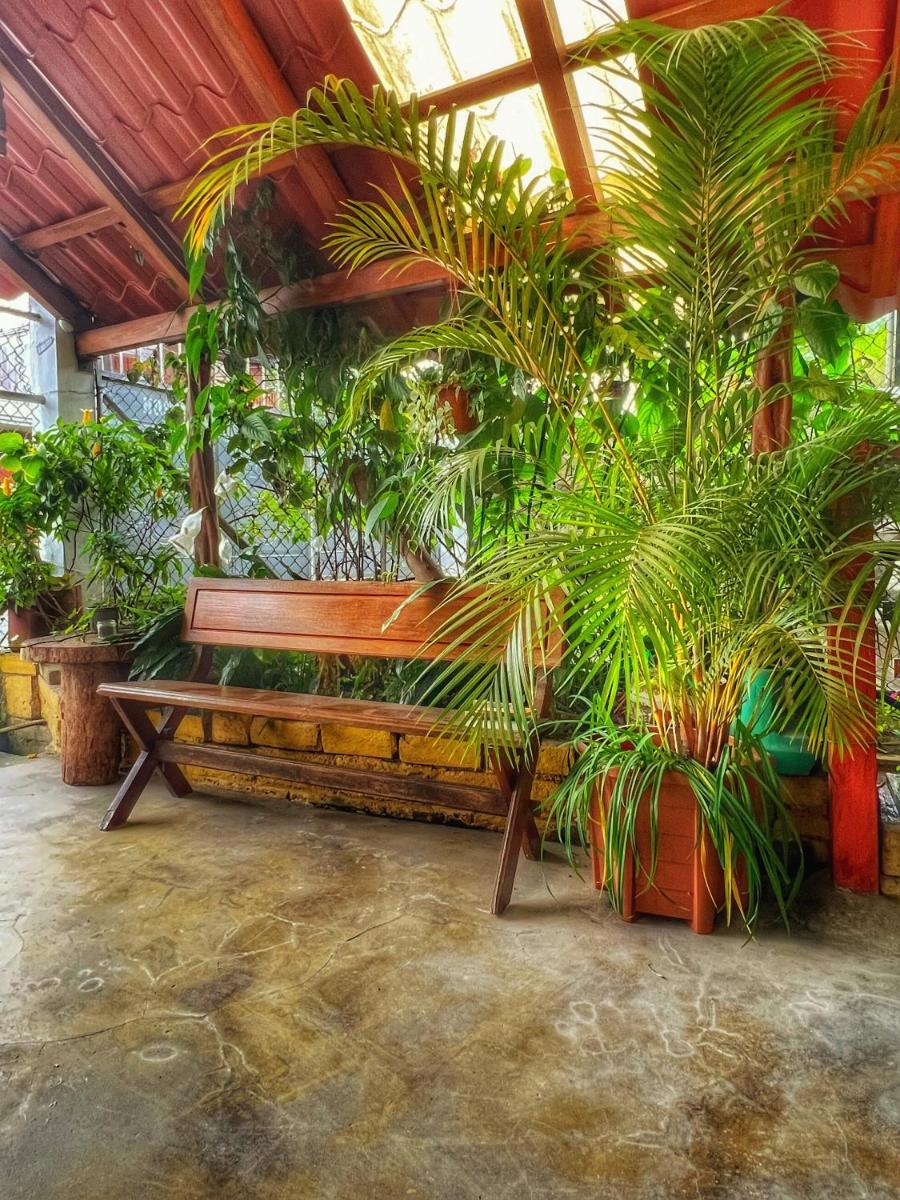 HOSTAL EL COLIBRI view 3
