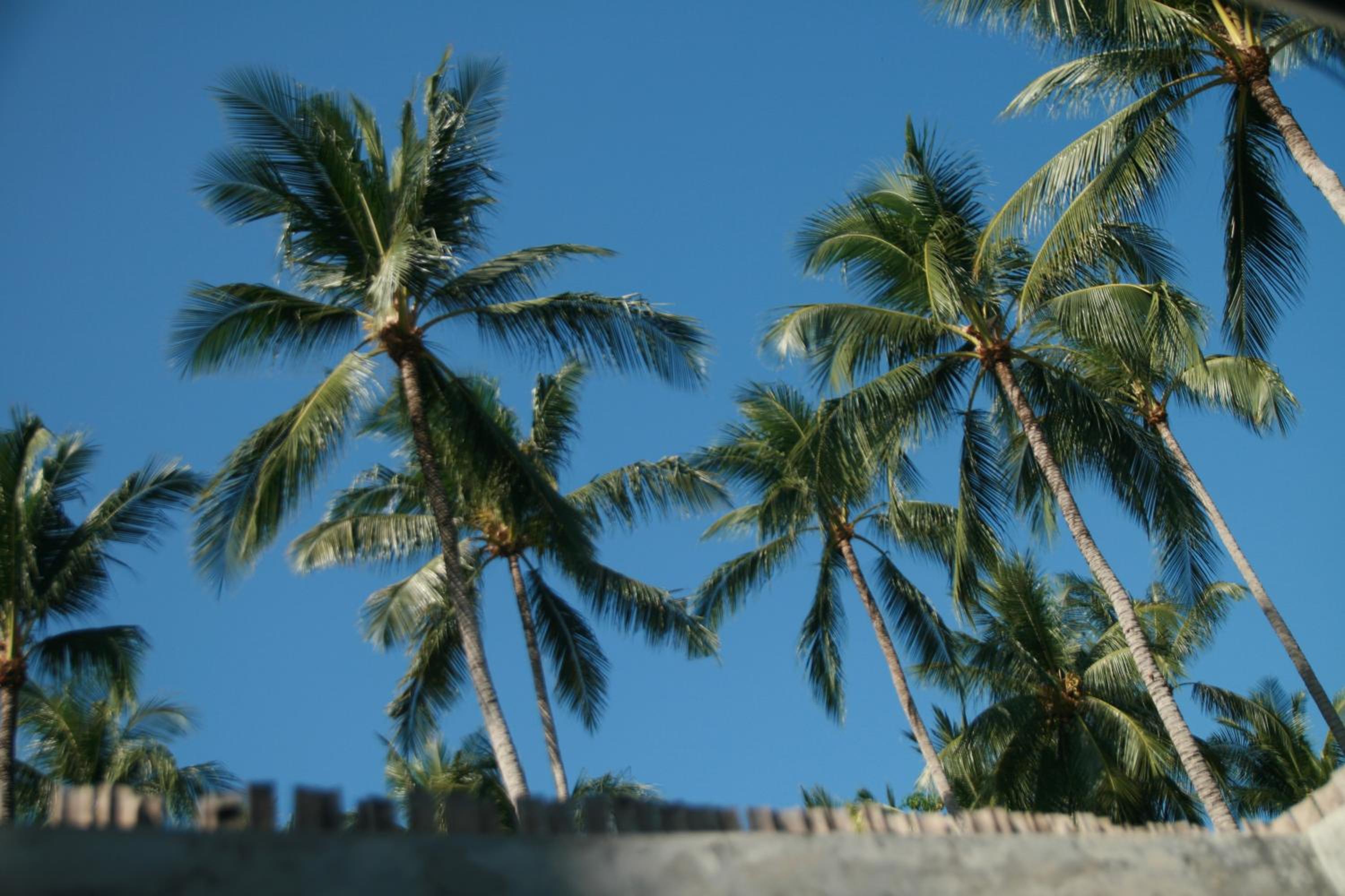 Coco Cottage