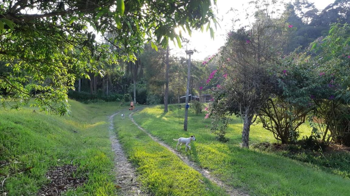 sitio recanto da promessa