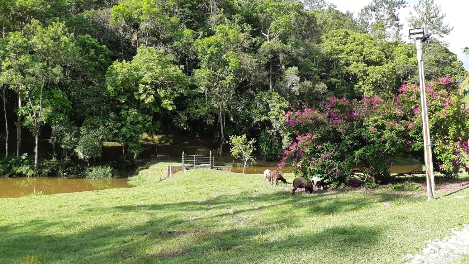 sitio recanto da promessa