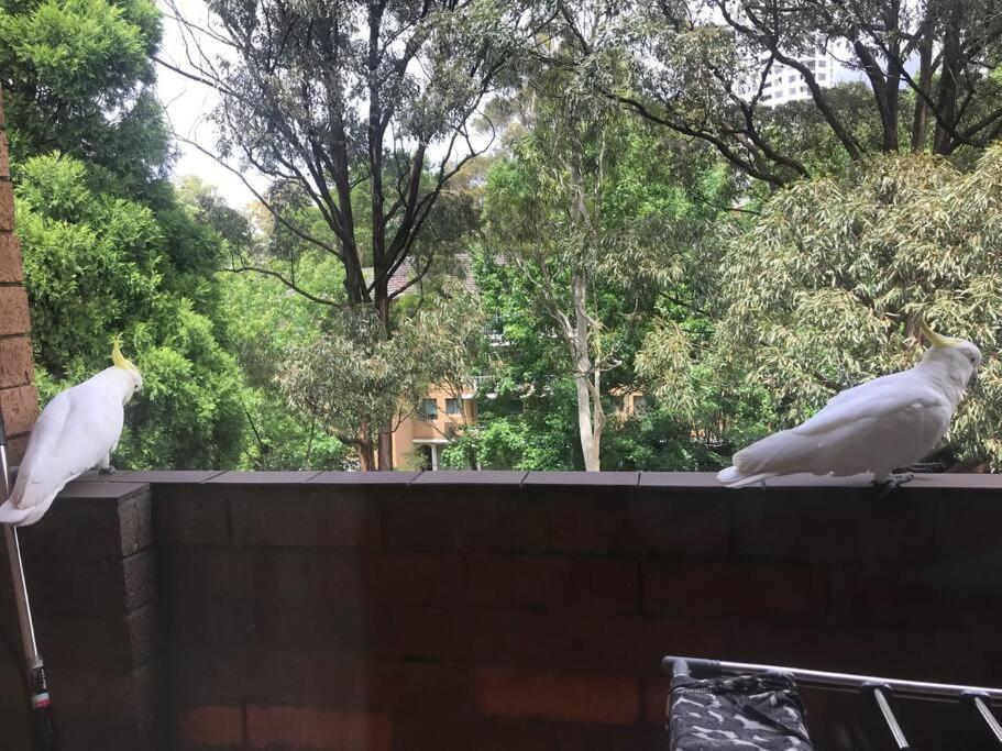 Macquarie Treetops - Sydney 2BR Apt with FREE parking at Macquarie Park