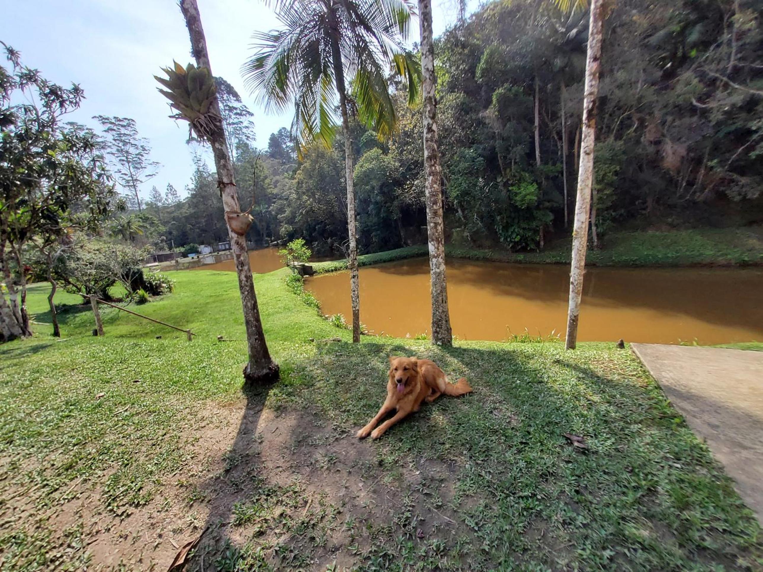 sitio recanto da promessa