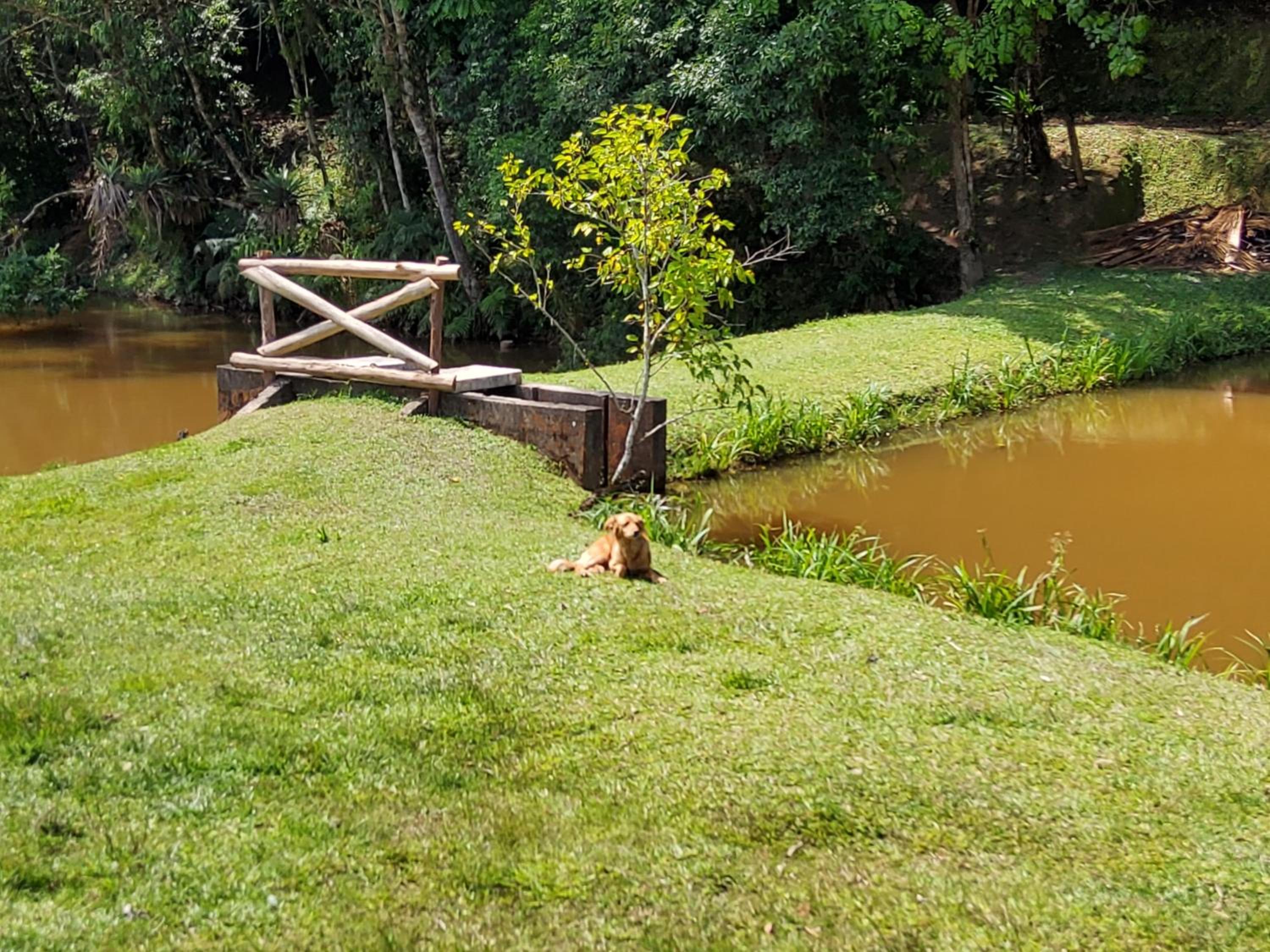 sitio recanto da promessa