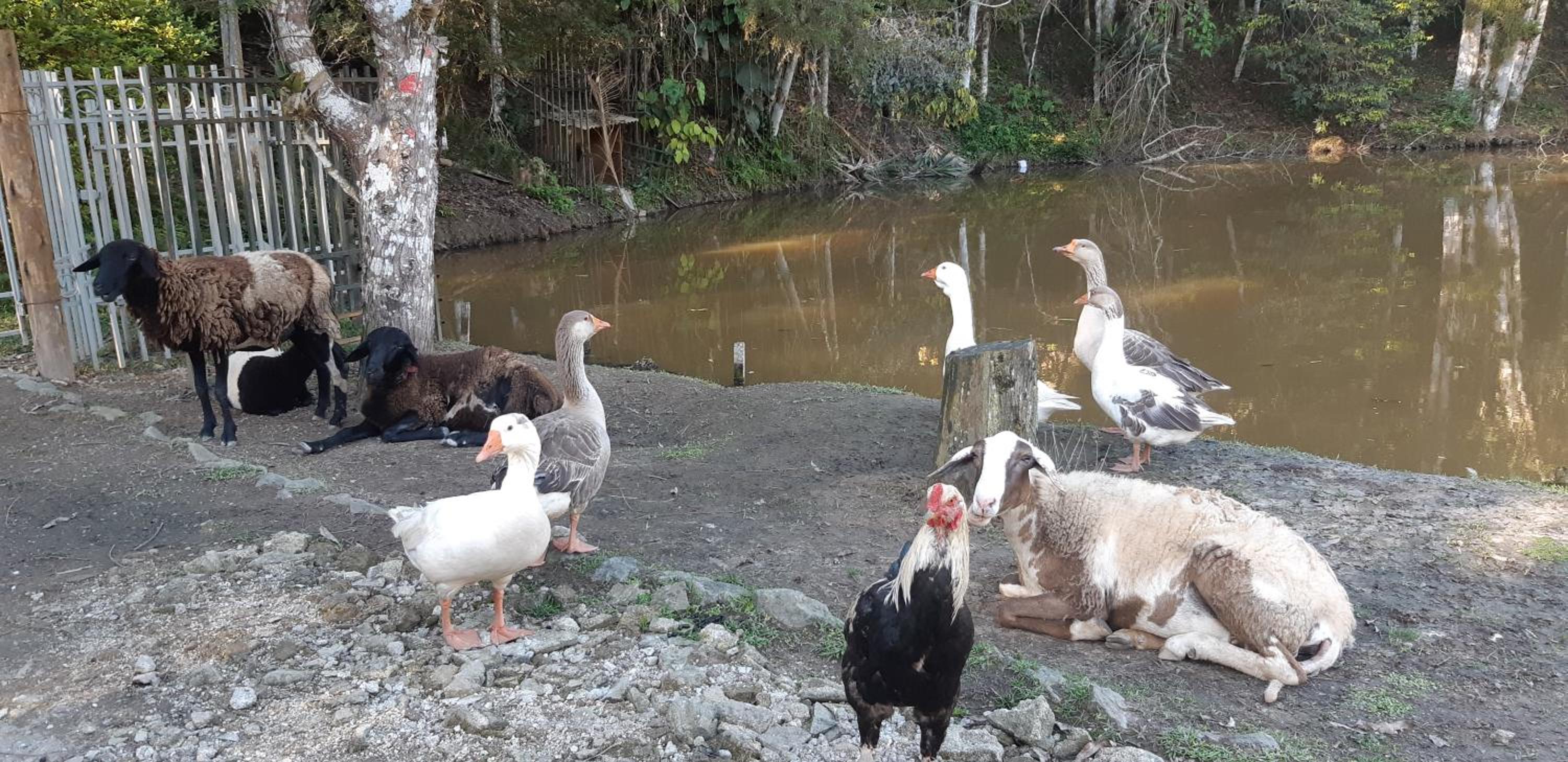 sitio recanto da promessa