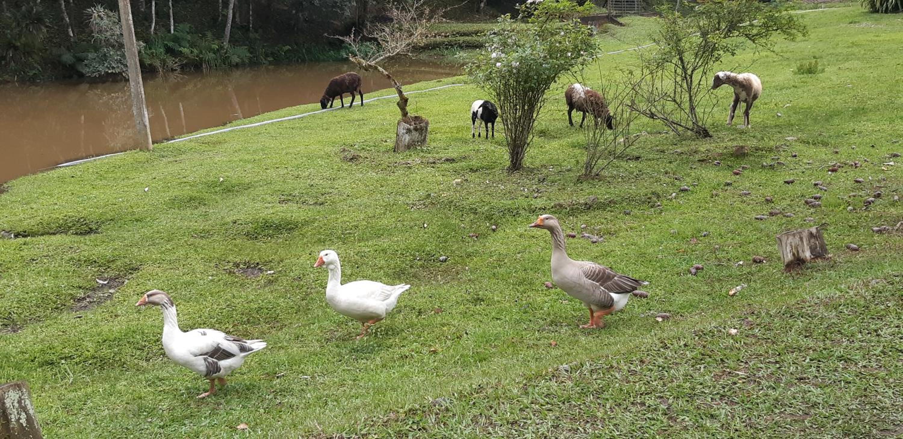 sitio recanto da promessa
