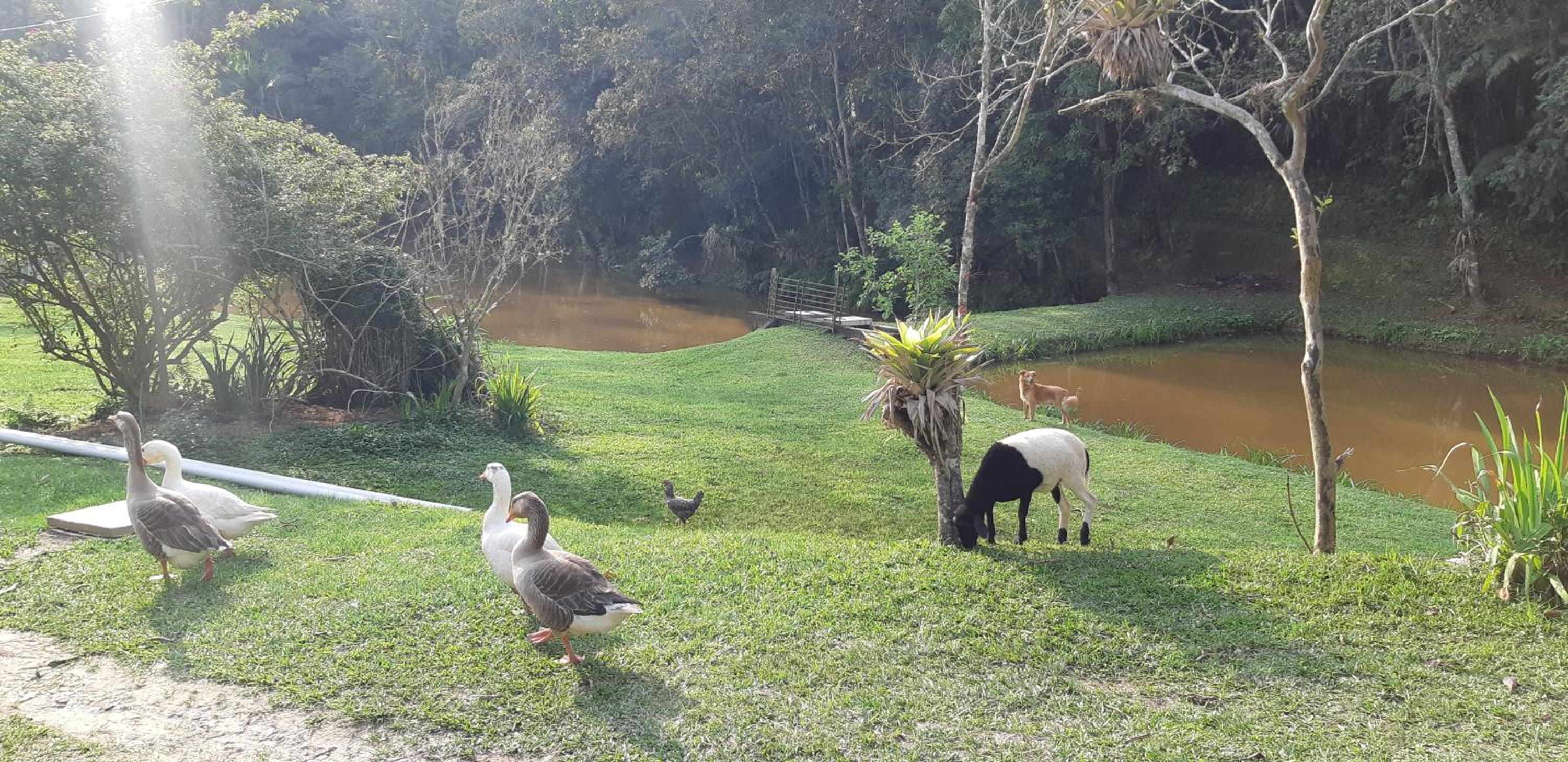 sitio recanto da promessa