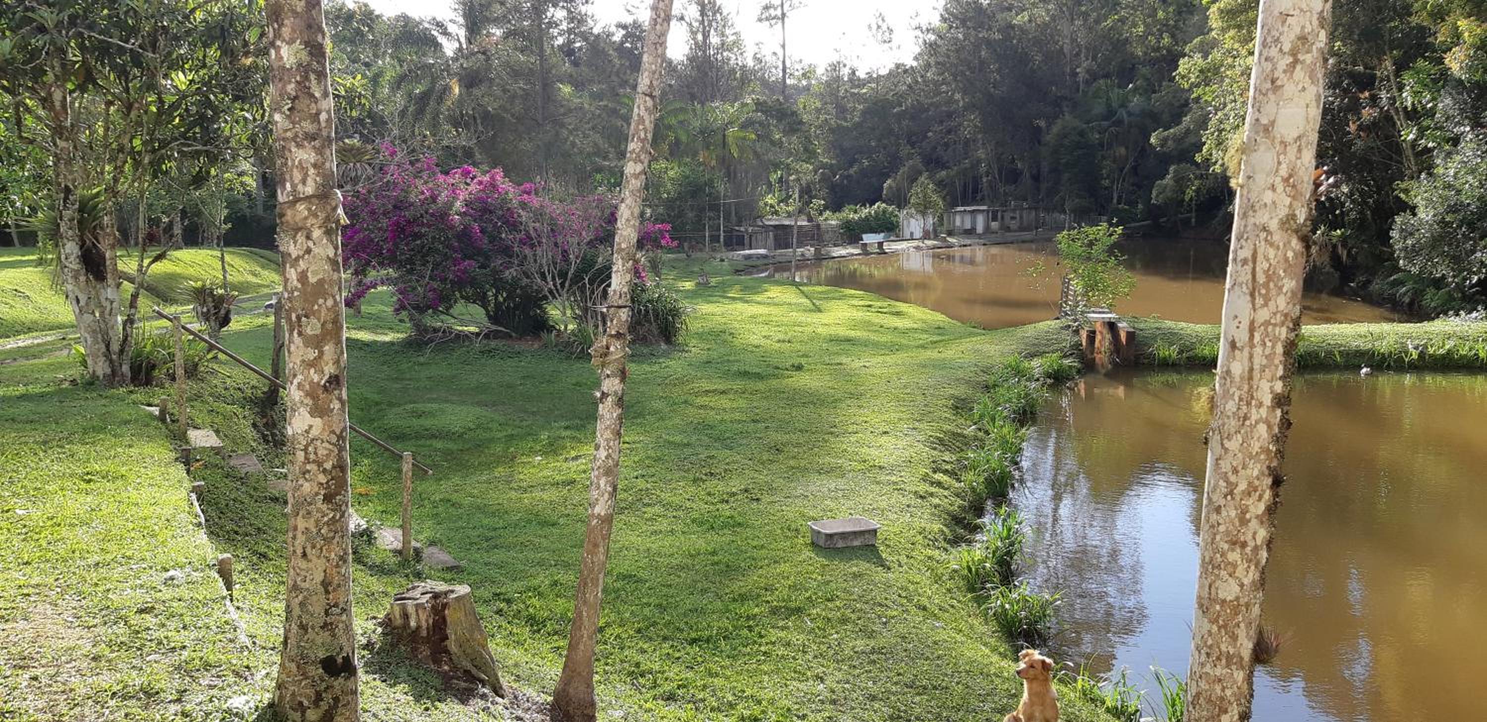 sitio recanto da promessa
