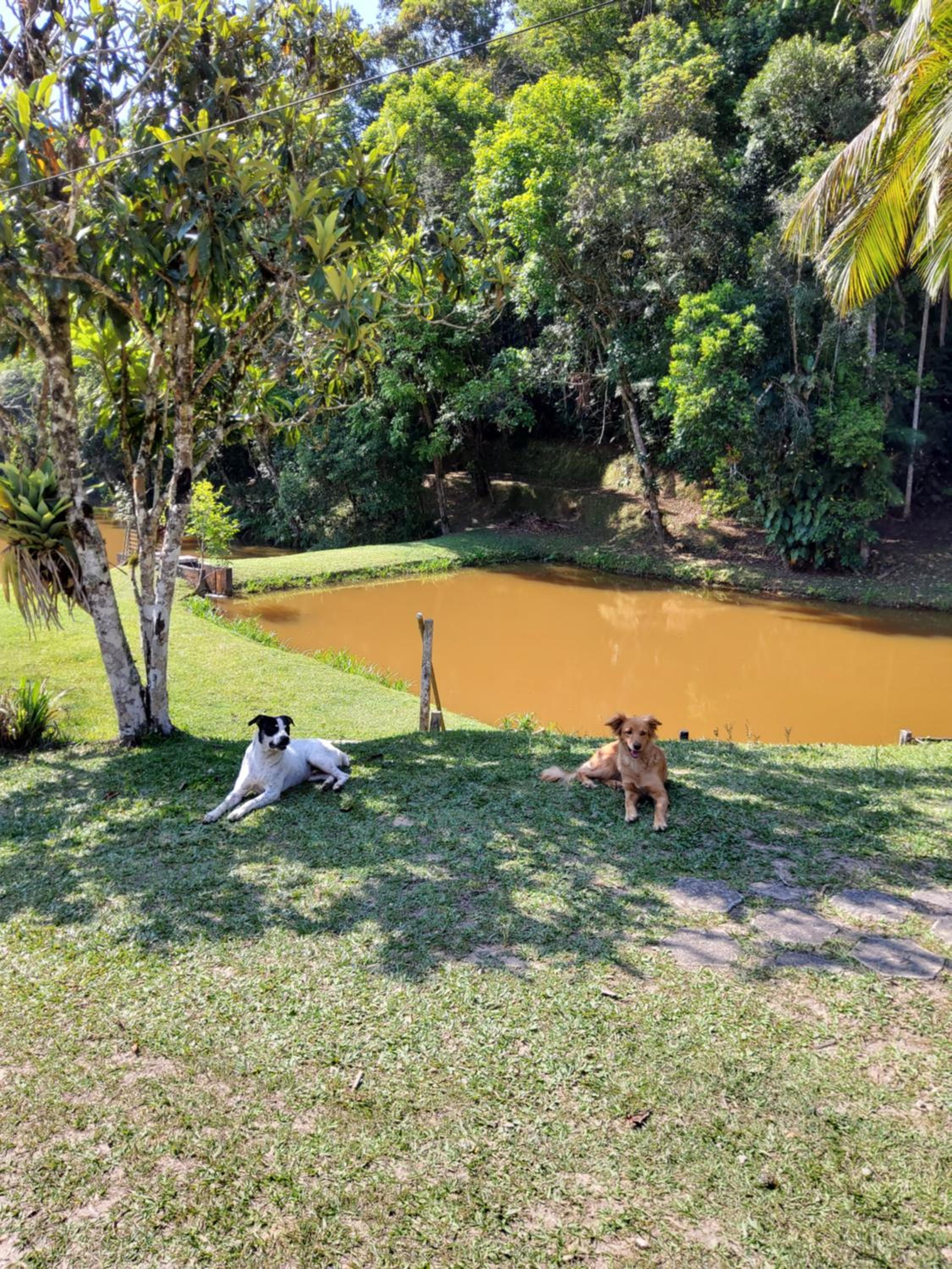 sitio recanto da promessa