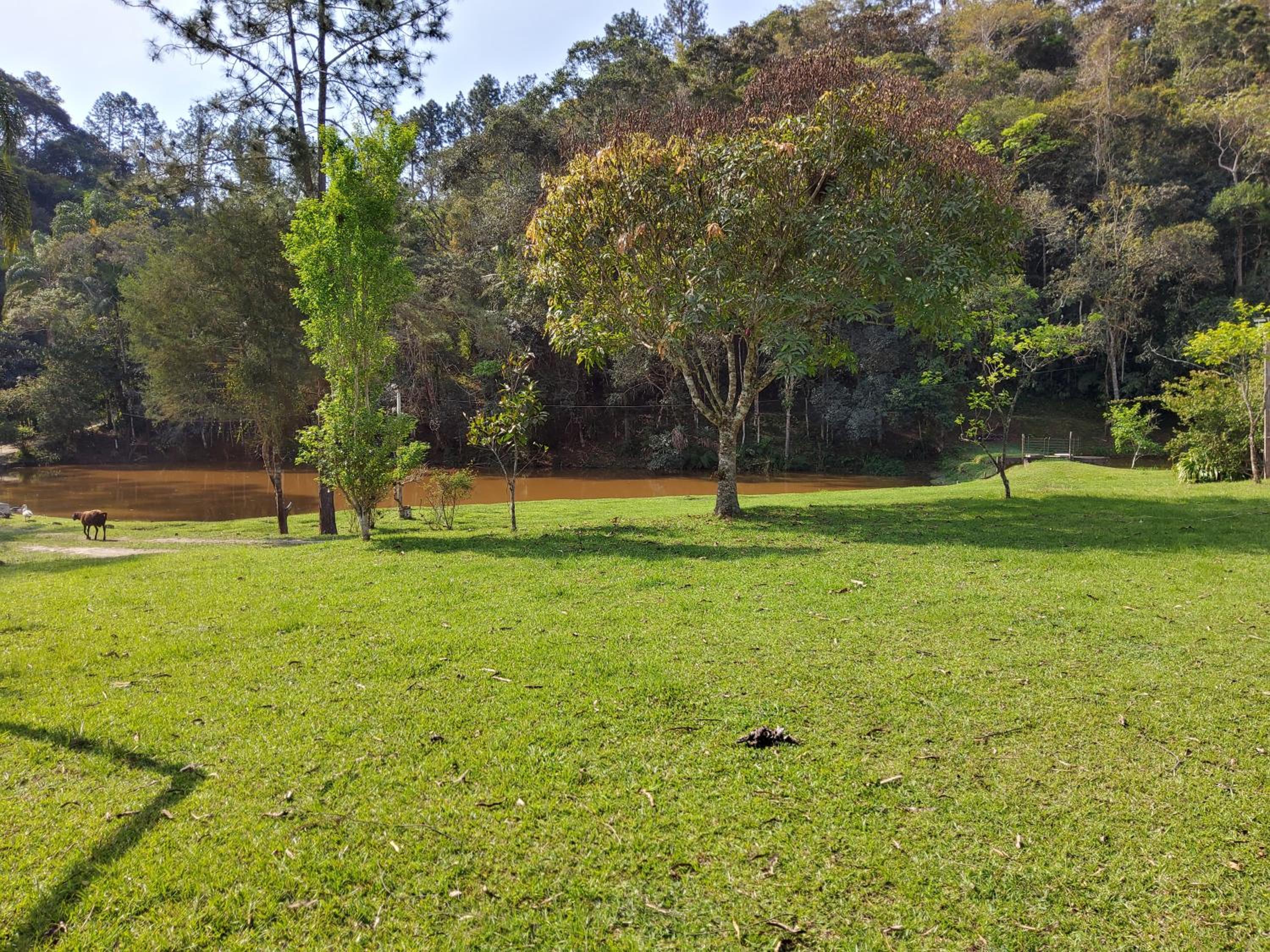 sitio recanto da promessa