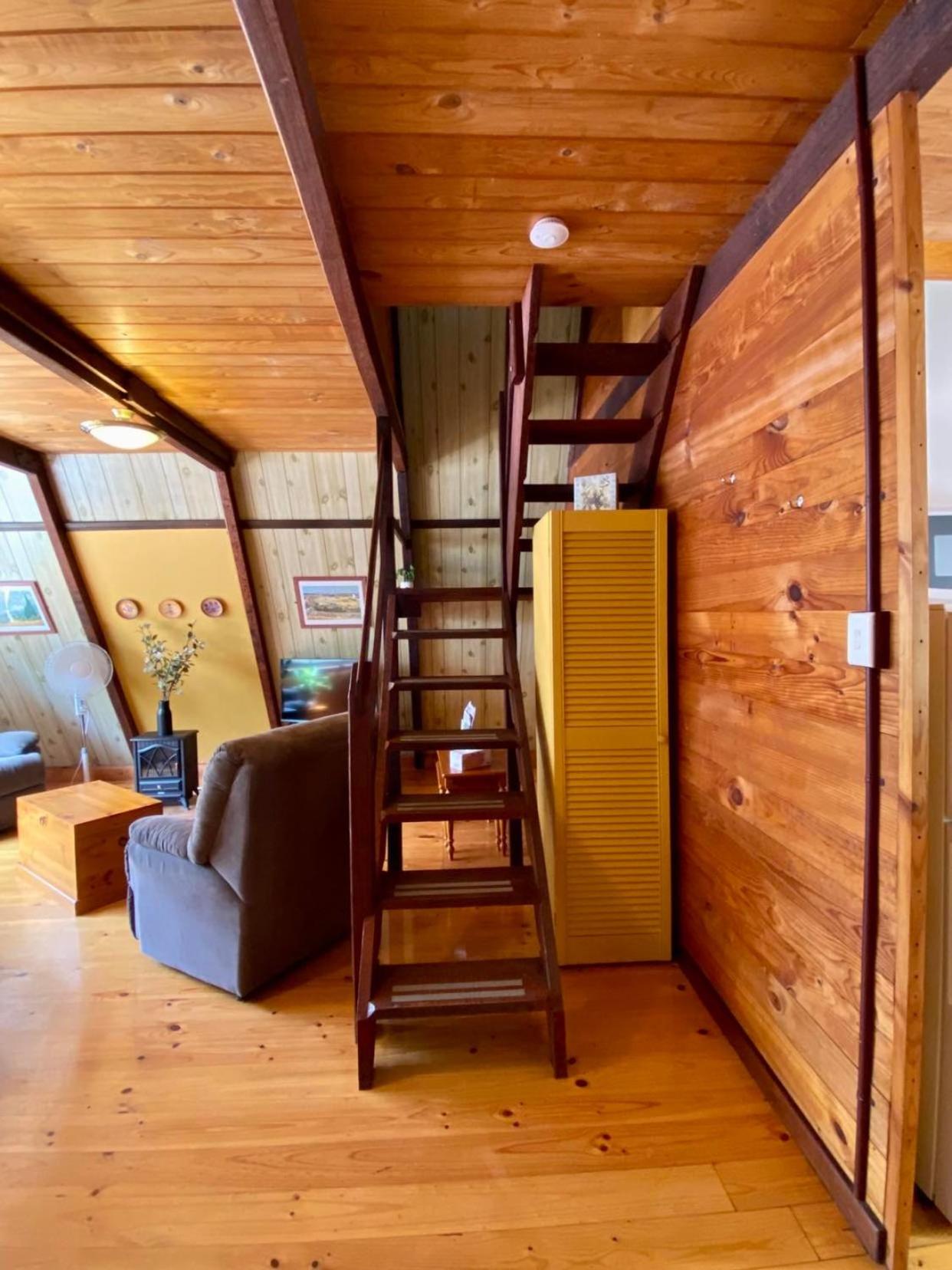 Hakea at Porongurup Chalets