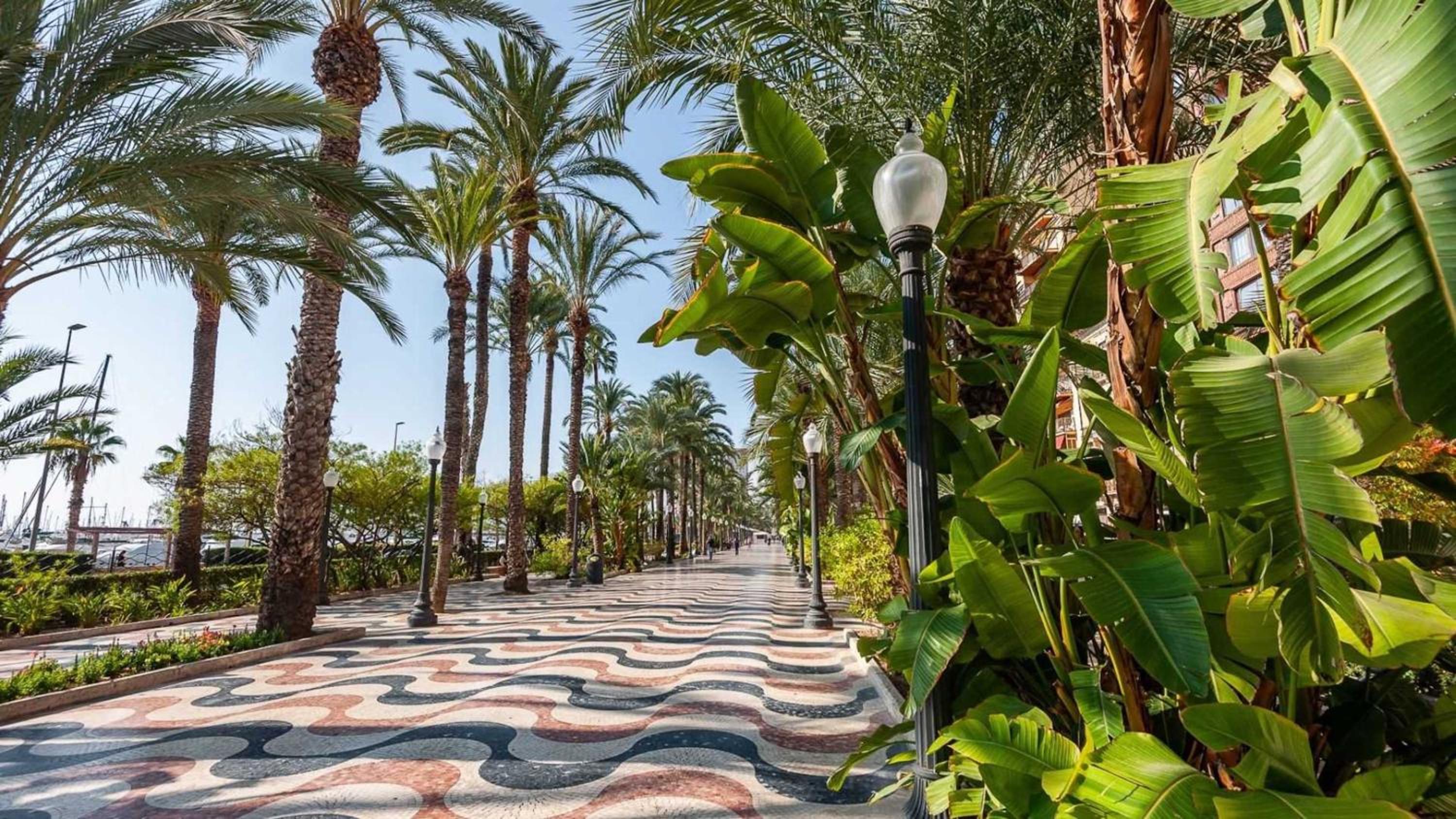 Beautiful 1 bedroom Apartment with gallery and Air Conditioning cb6yr view 4