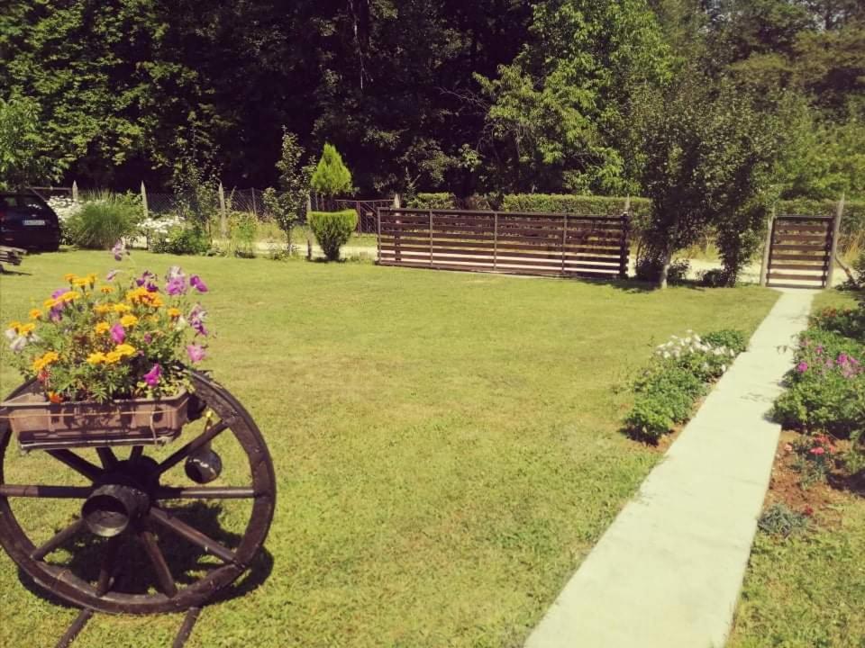 Photo 12