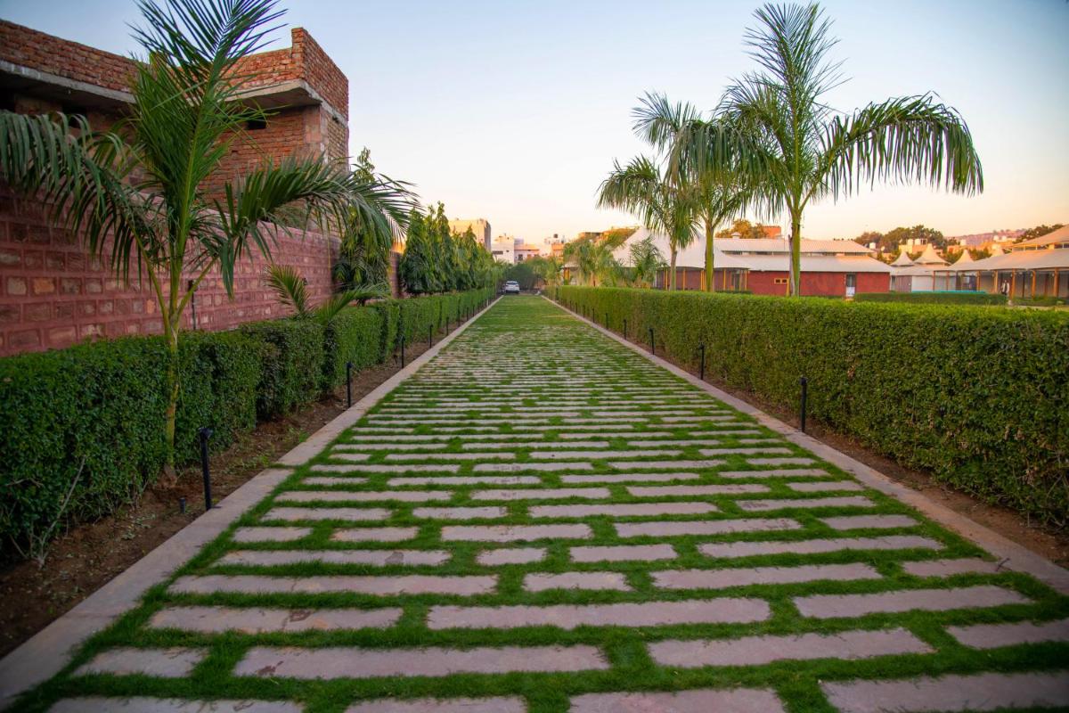 garden