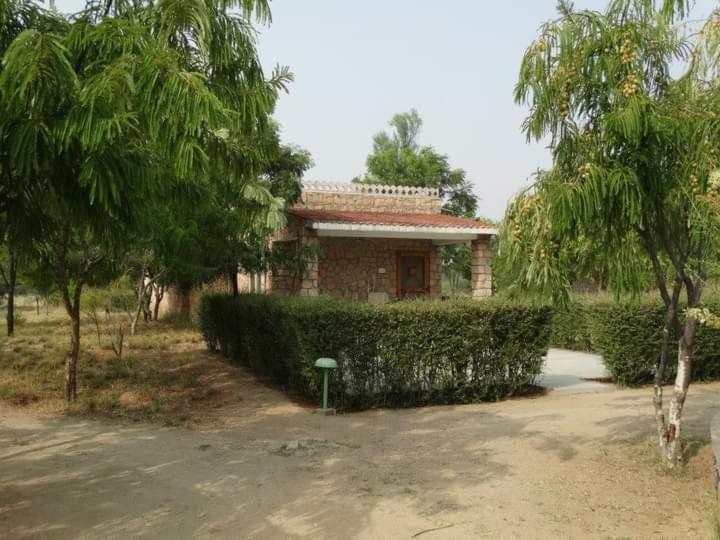 Photo 29