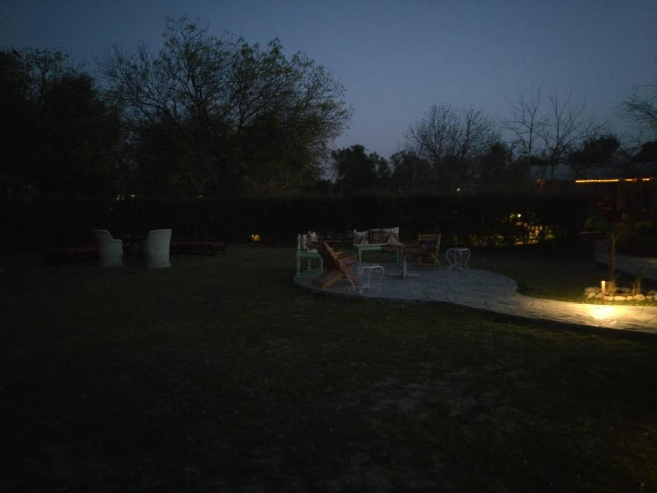 Photo 37