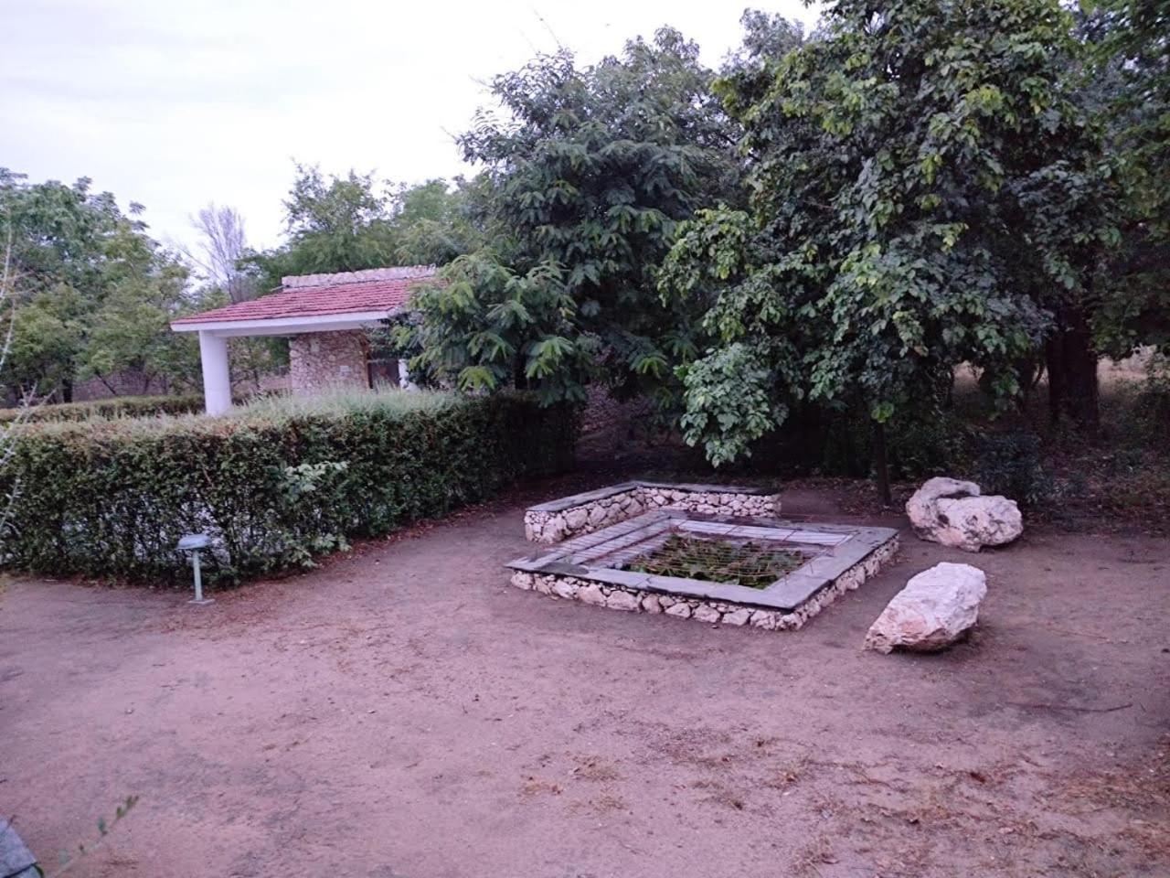 Photo 44
