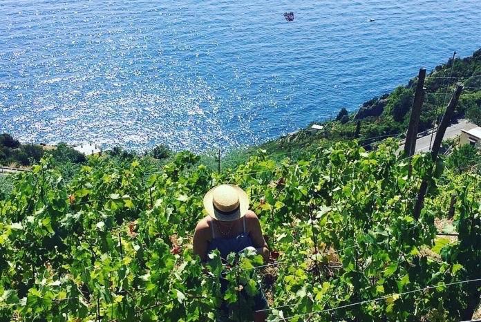 UWA Refuge organic Vineyard 5terre UNESCO