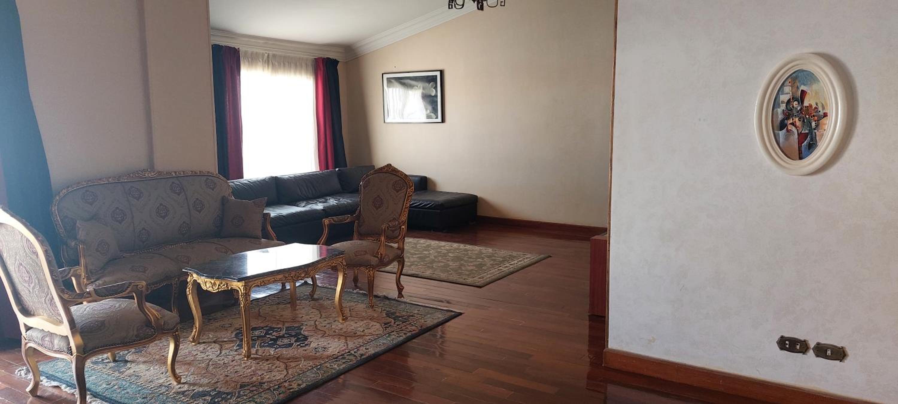 Spacious cheerful apartment