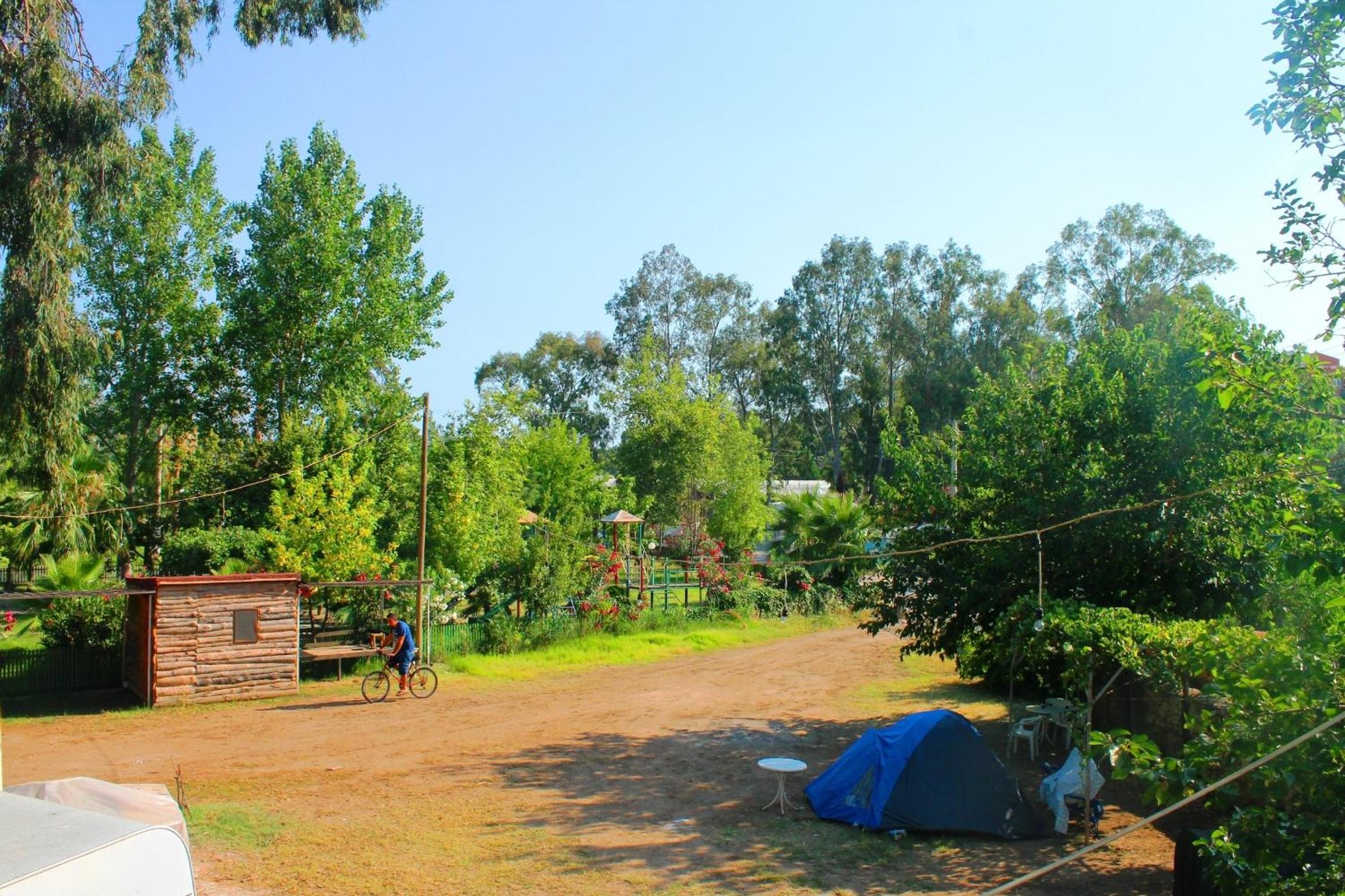Medusa Camping