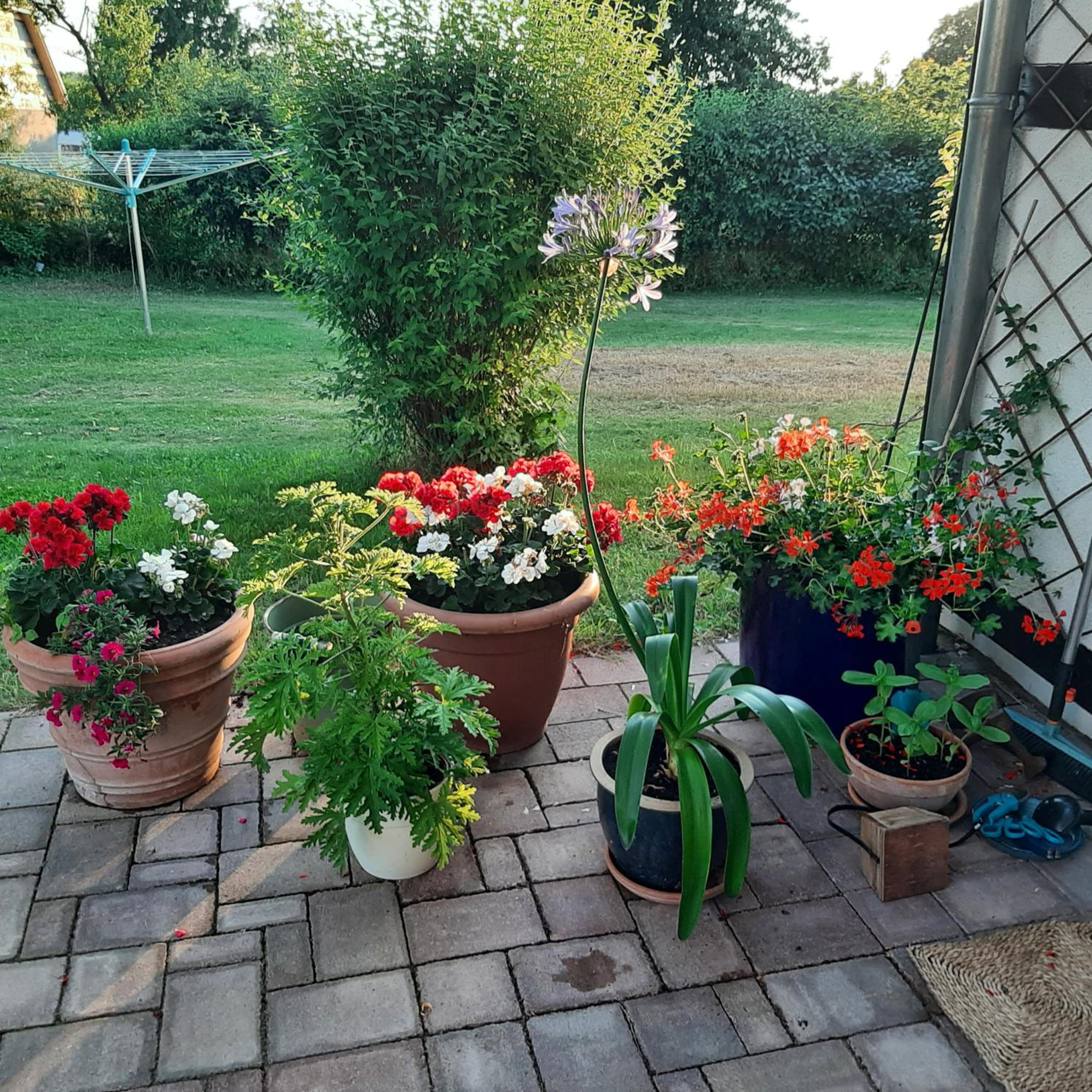 Honighof Hümmling view 2