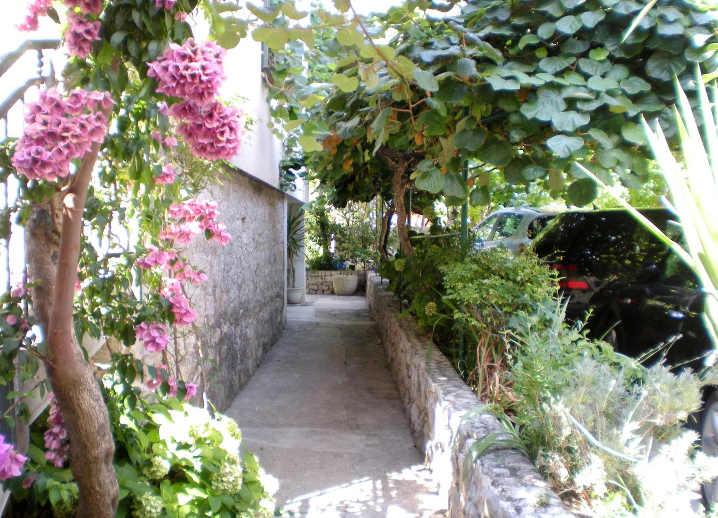 Photo 42