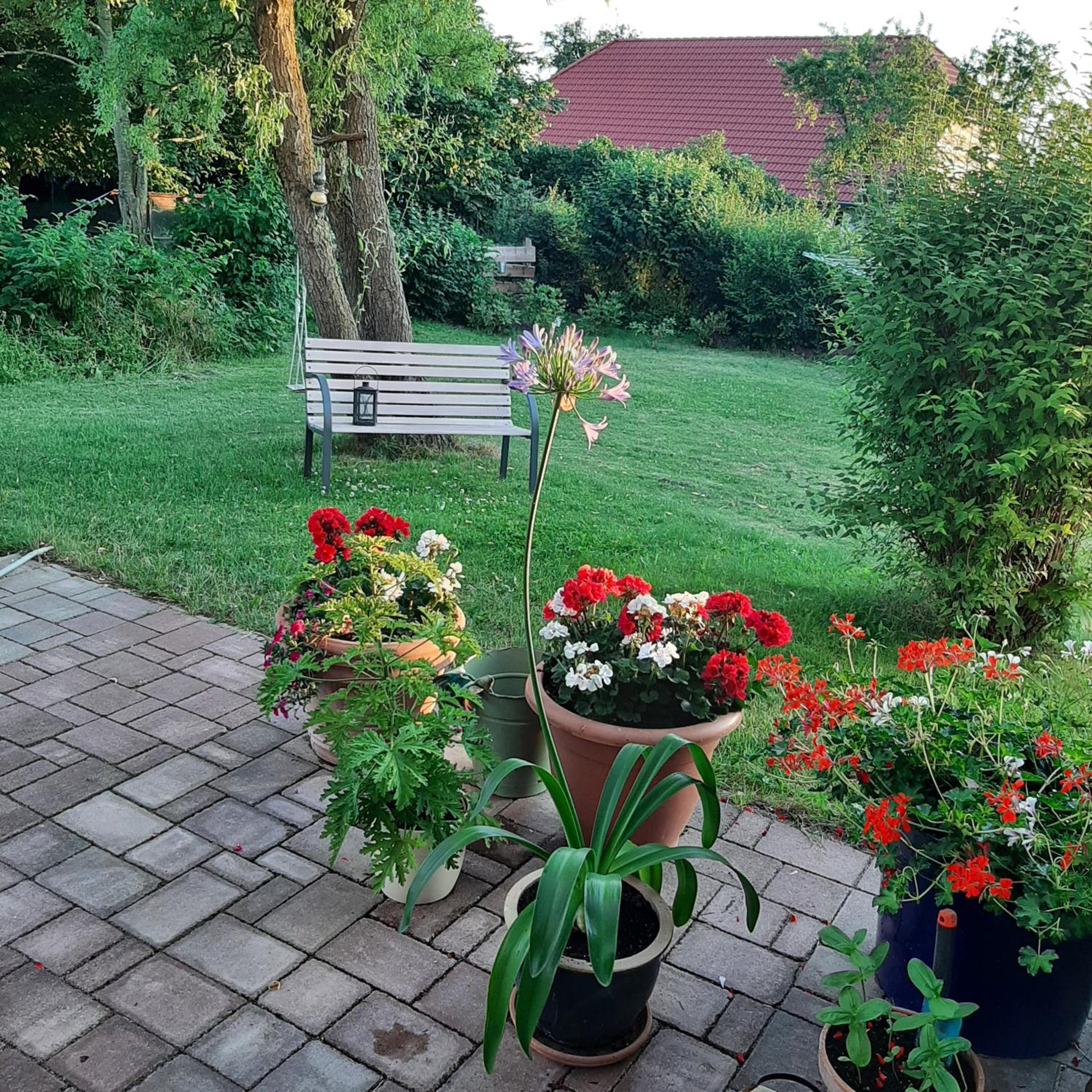 Photo 39