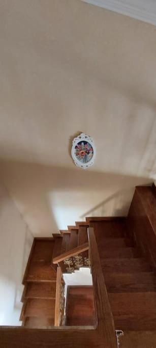 Spacious cheerful apartment