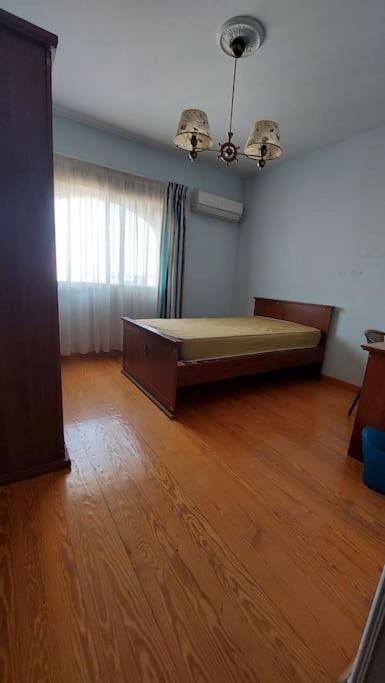 Spacious cheerful apartment