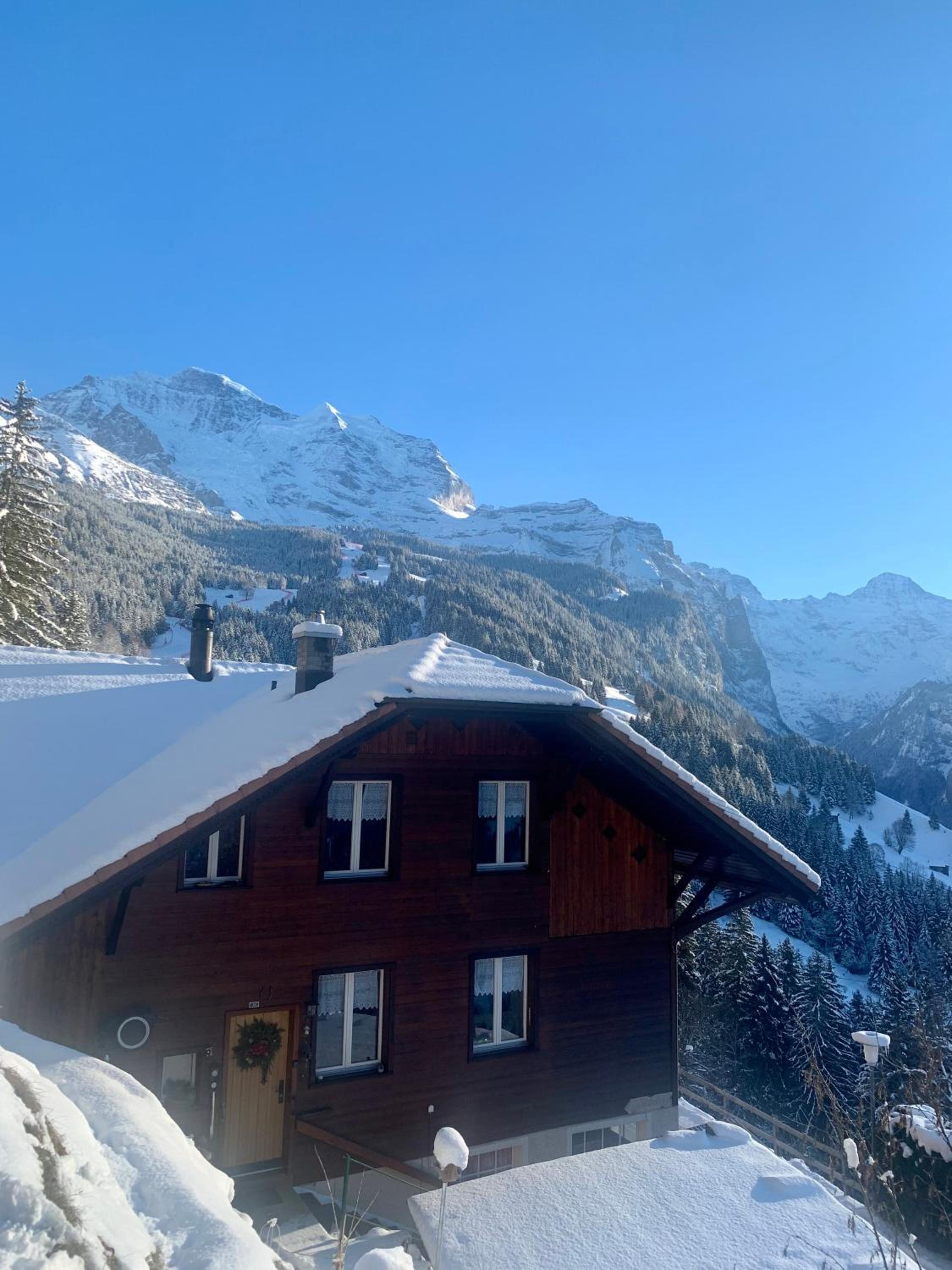 Chalet Aargovia view 2