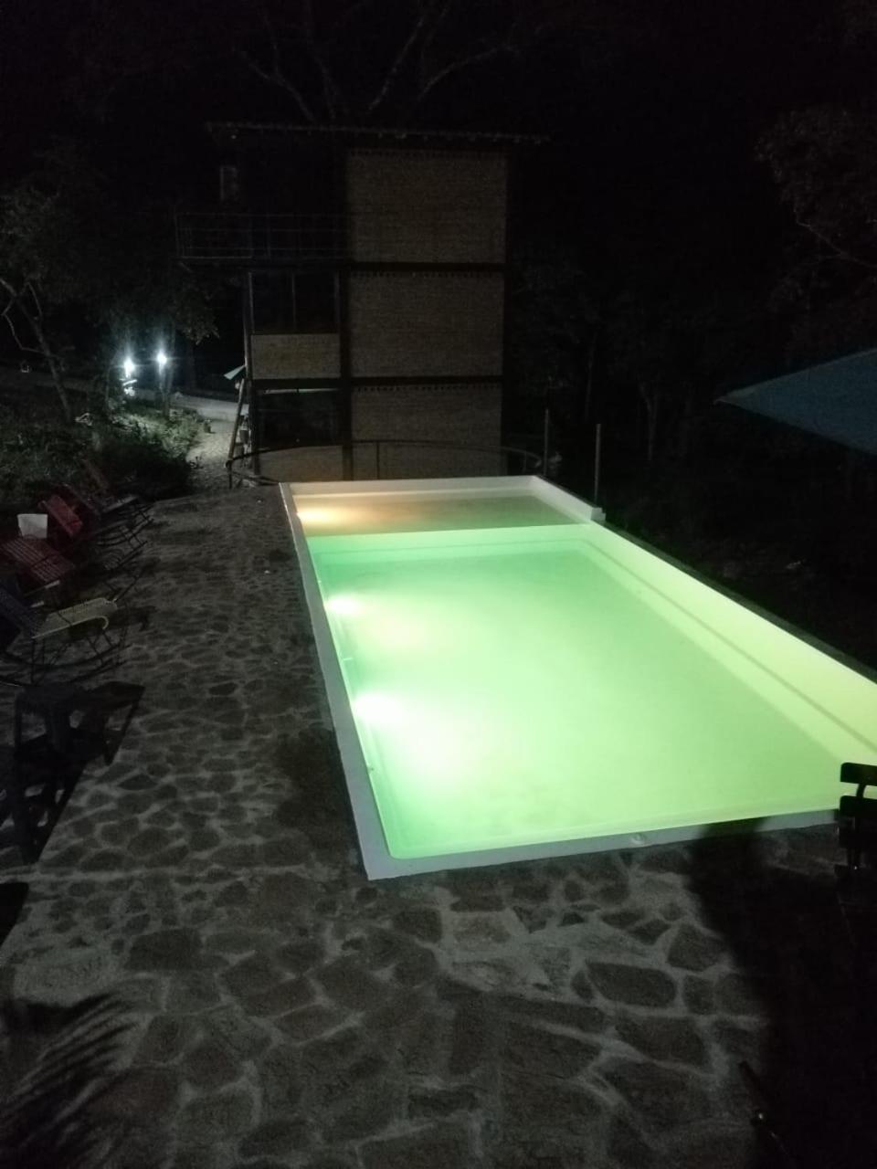 Photo 19