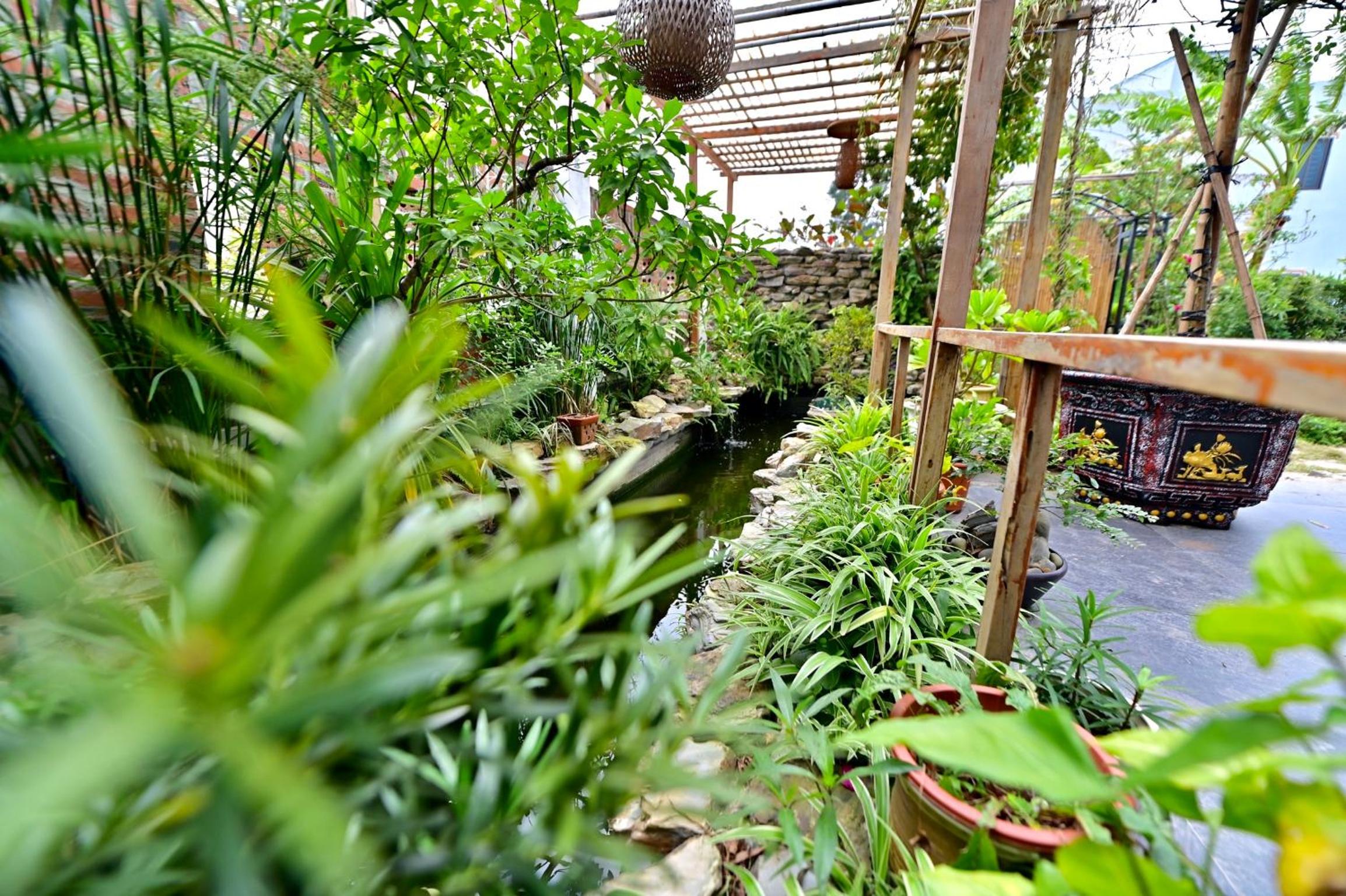 Coto Center Homestay, photo 236