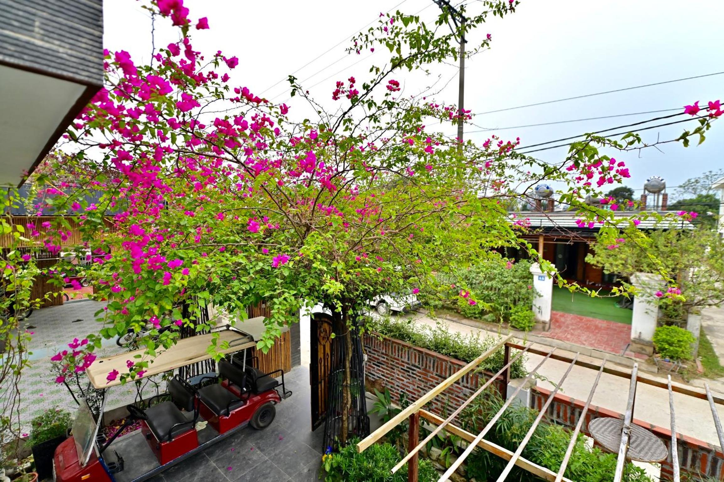 Coto Center Homestay, photo 227
