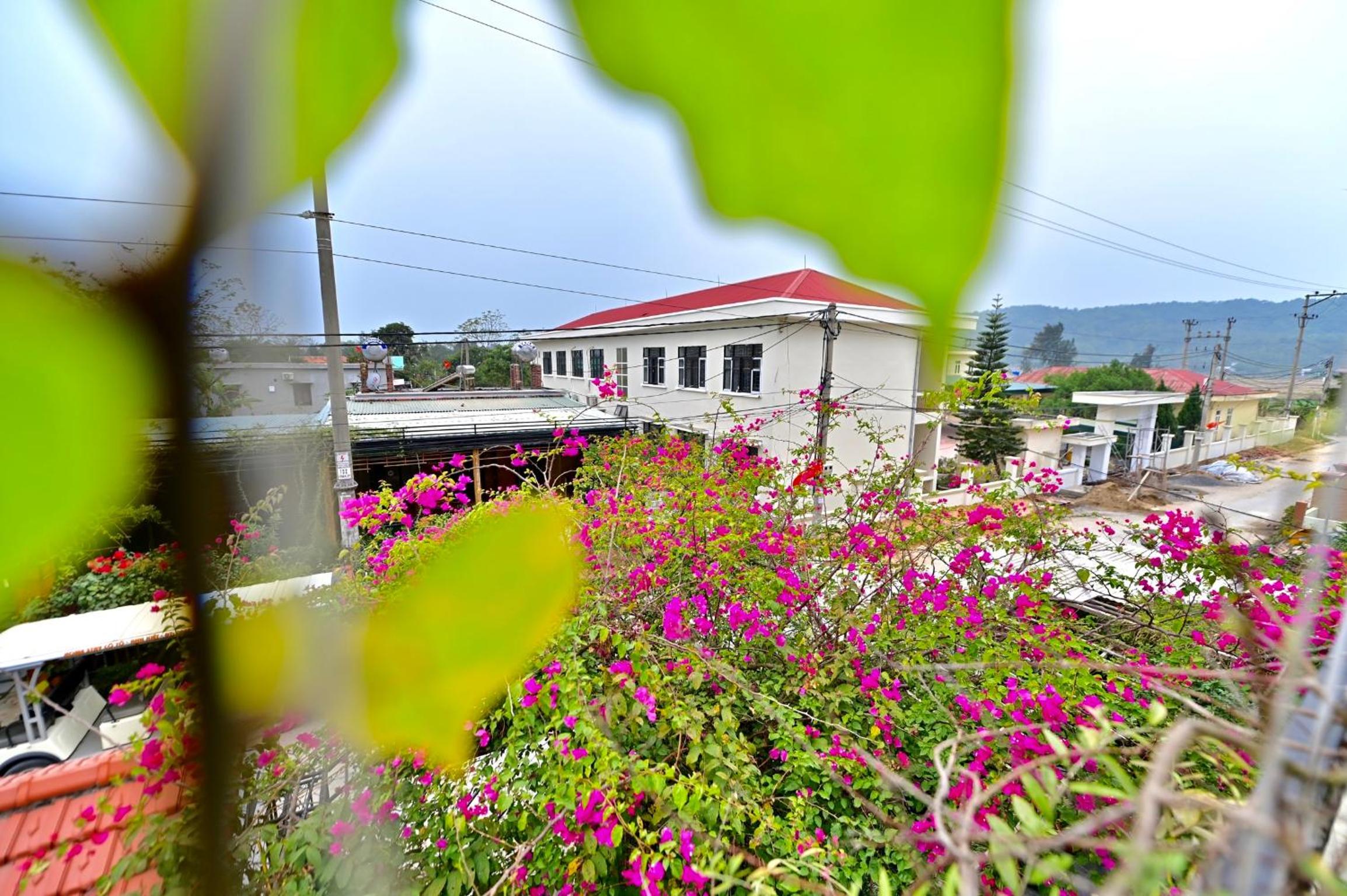 Coto Center Homestay, photo 63