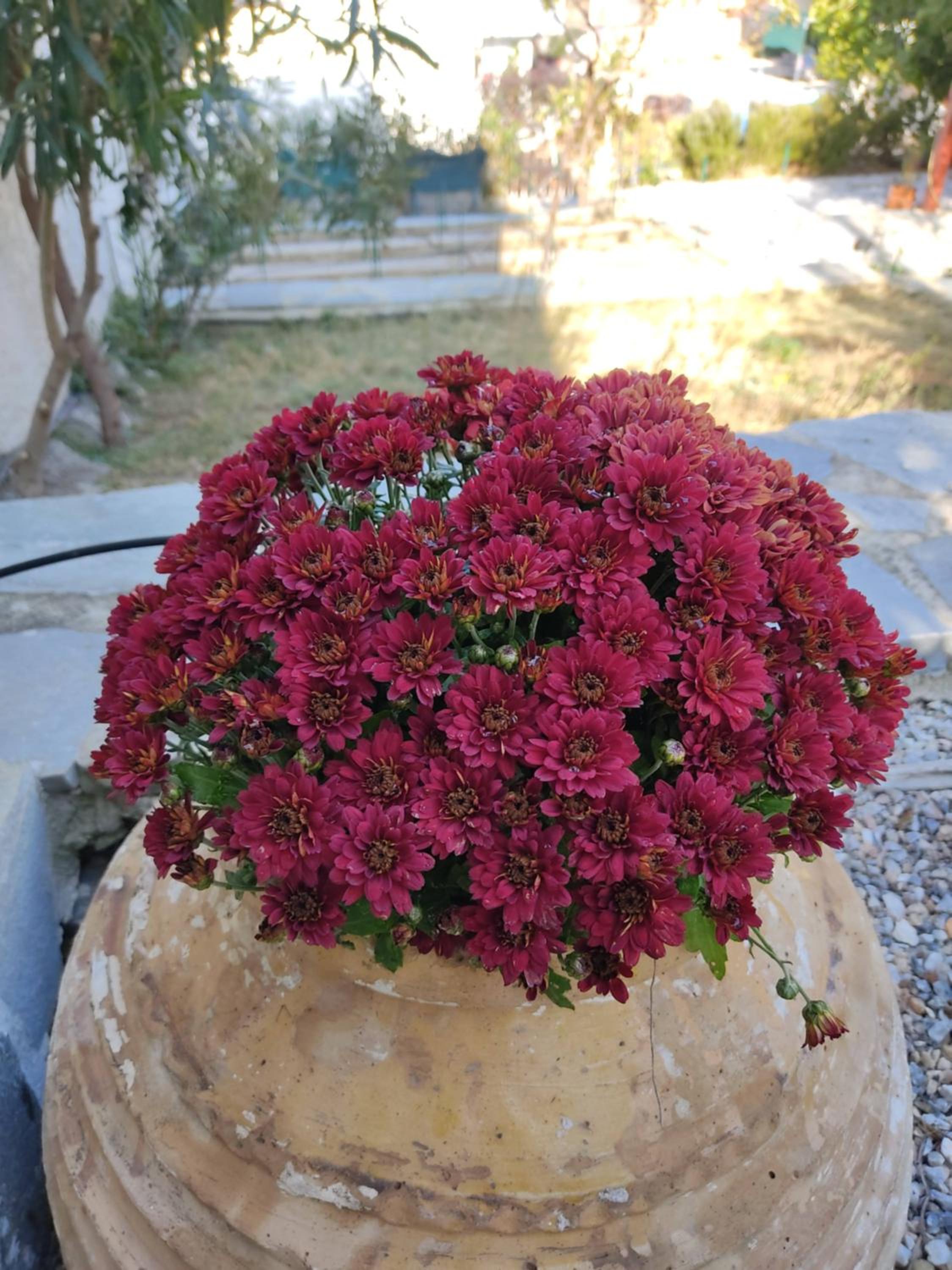 Photo 52